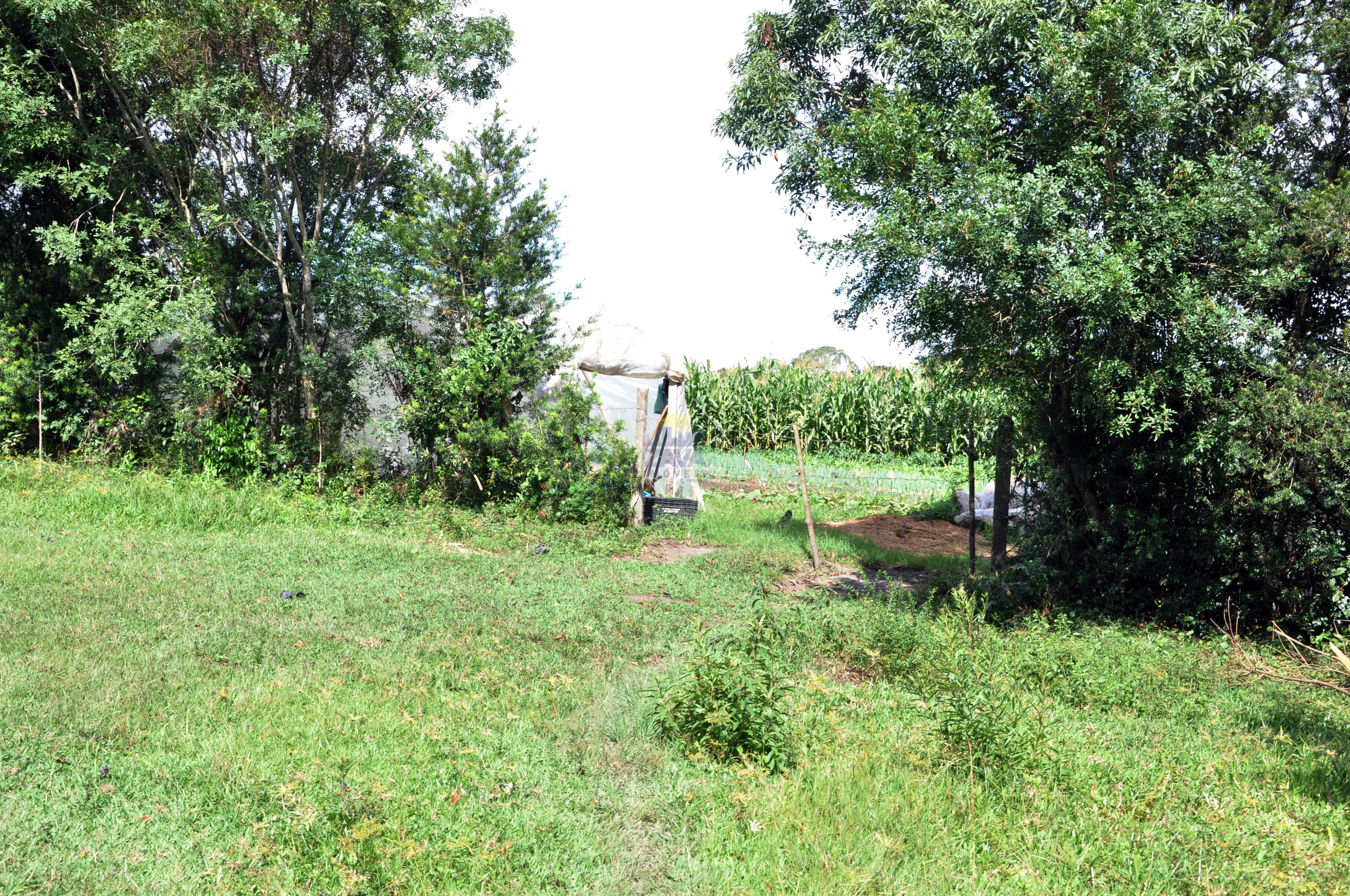 Haras e Área Rural Padrão à venda, 300000m² - Foto 19