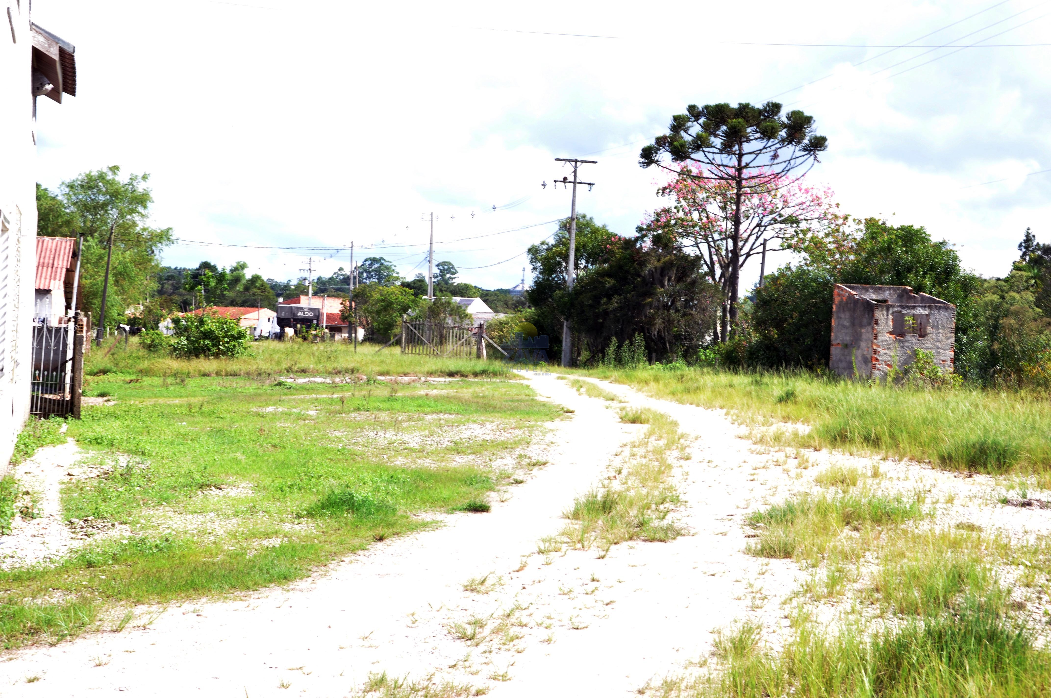 Haras e Área Rural Padrão à venda, 300000m² - Foto 15