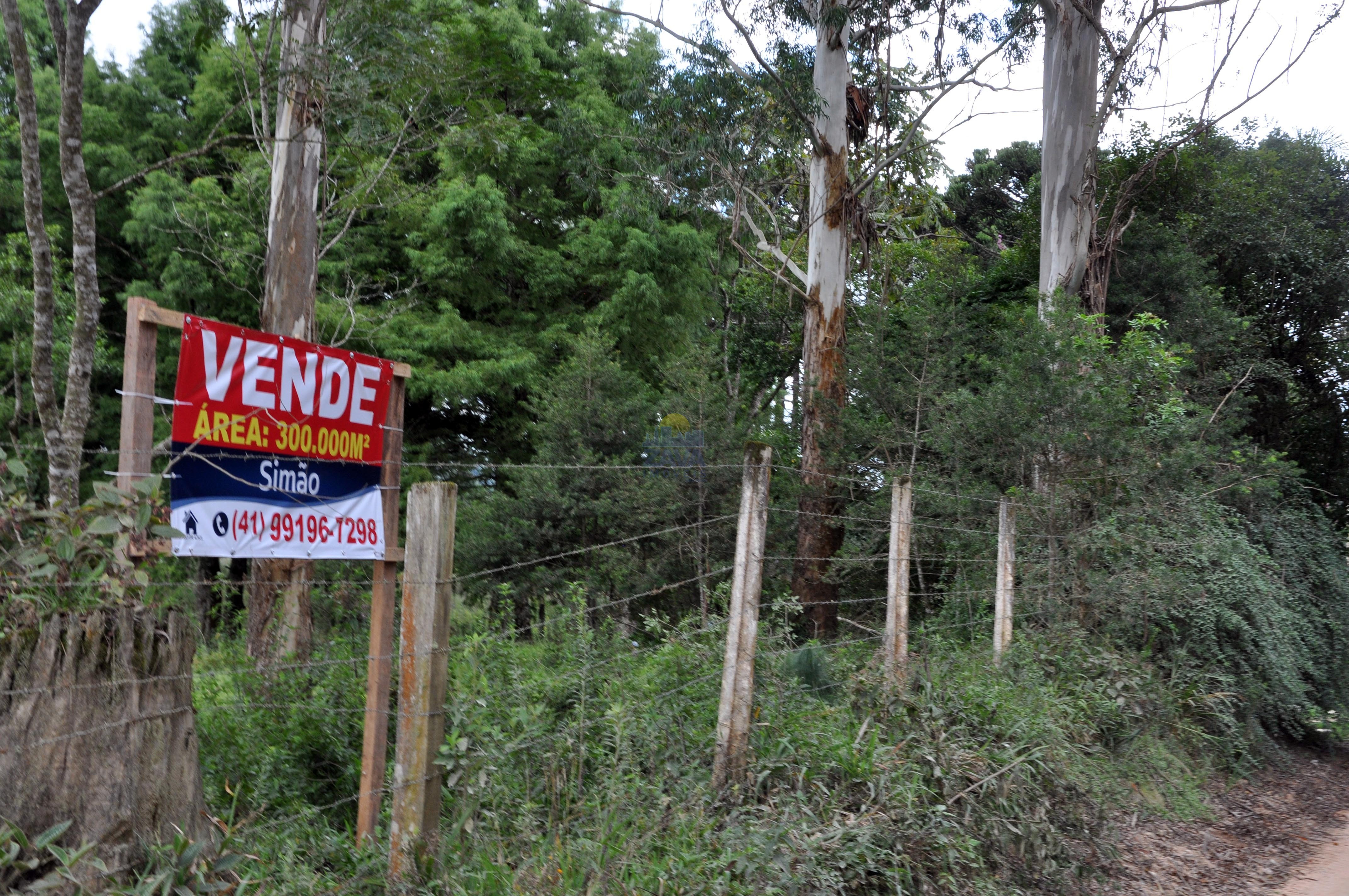 Haras e Área Rural Padrão à venda, 300000m² - Foto 34