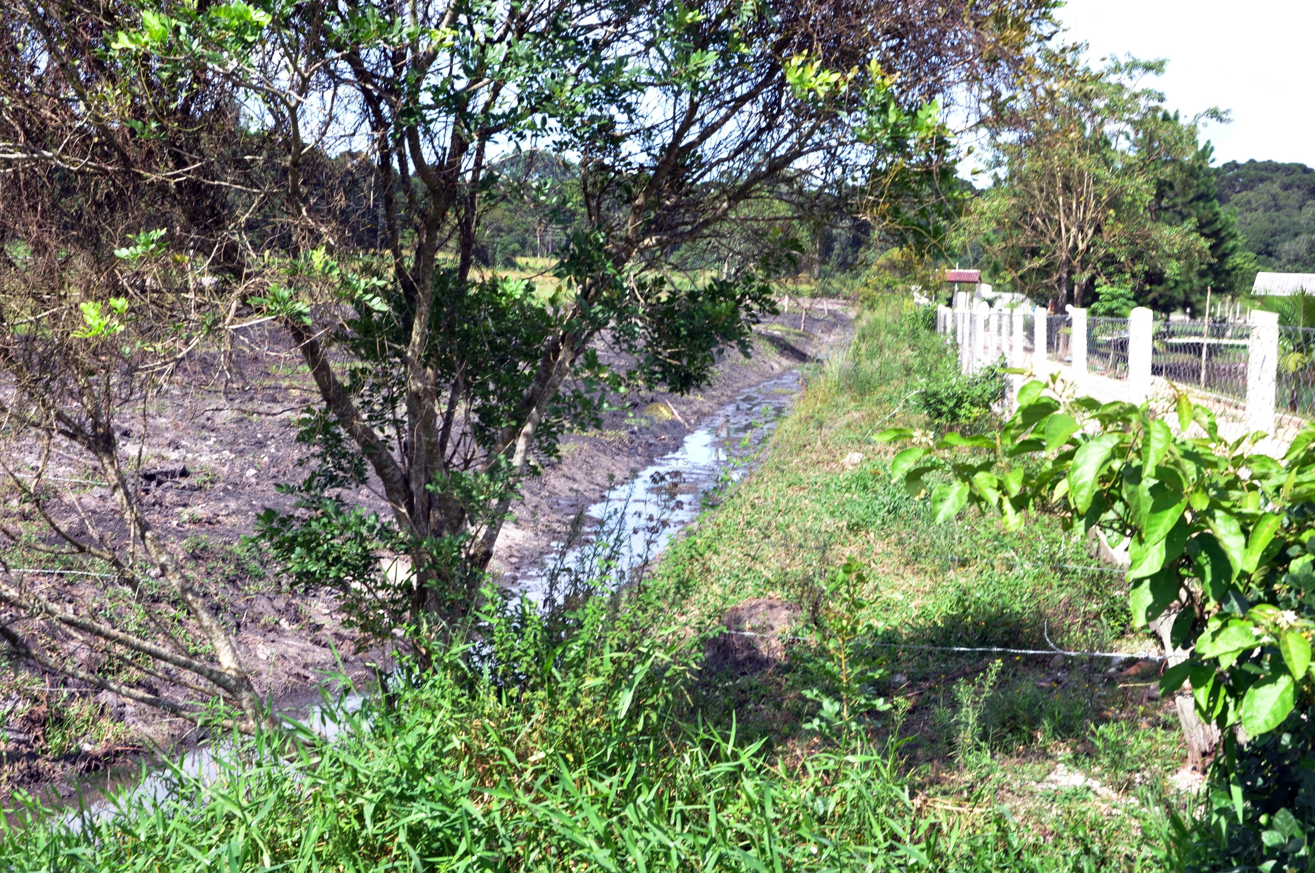 Haras e Área Rural Padrão à venda, 300000m² - Foto 16