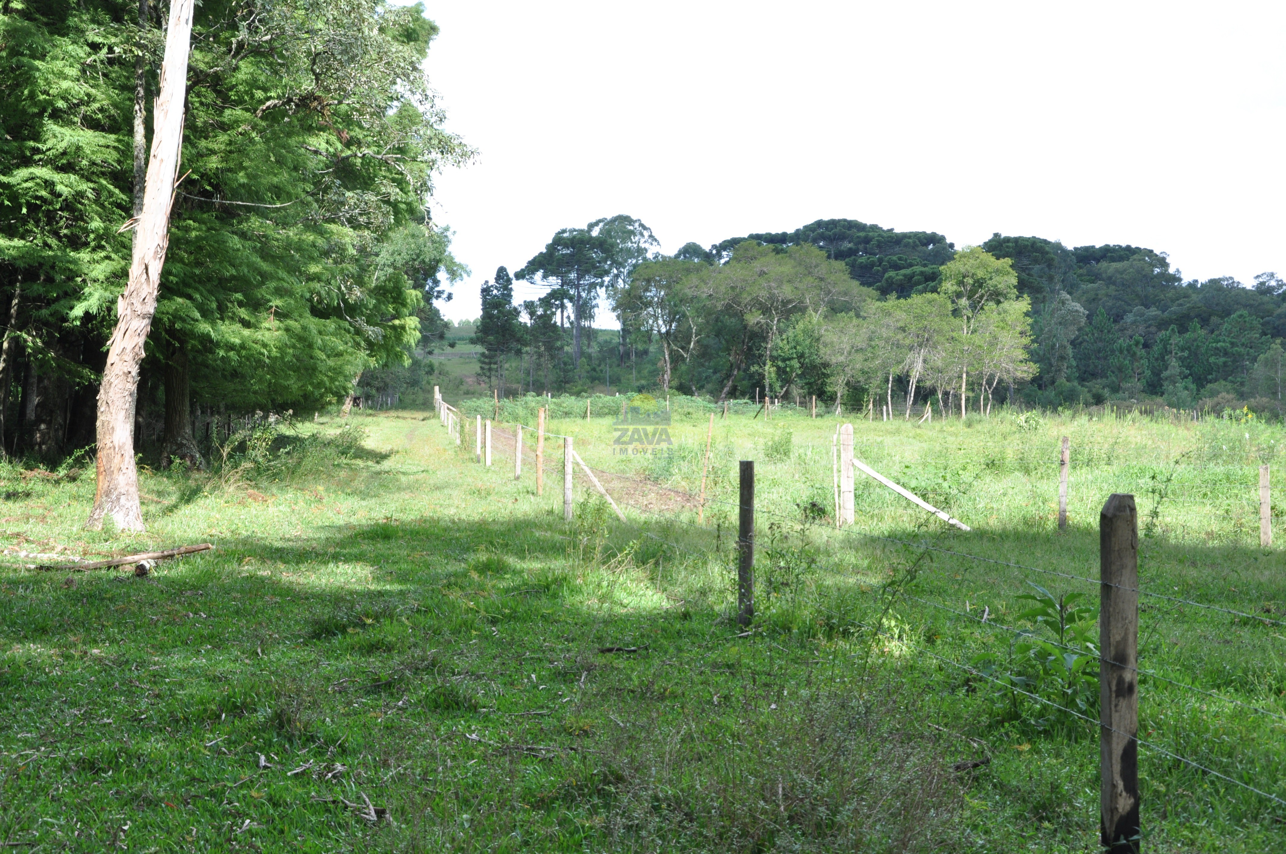 Haras e Área Rural Padrão à venda, 300000m² - Foto 26