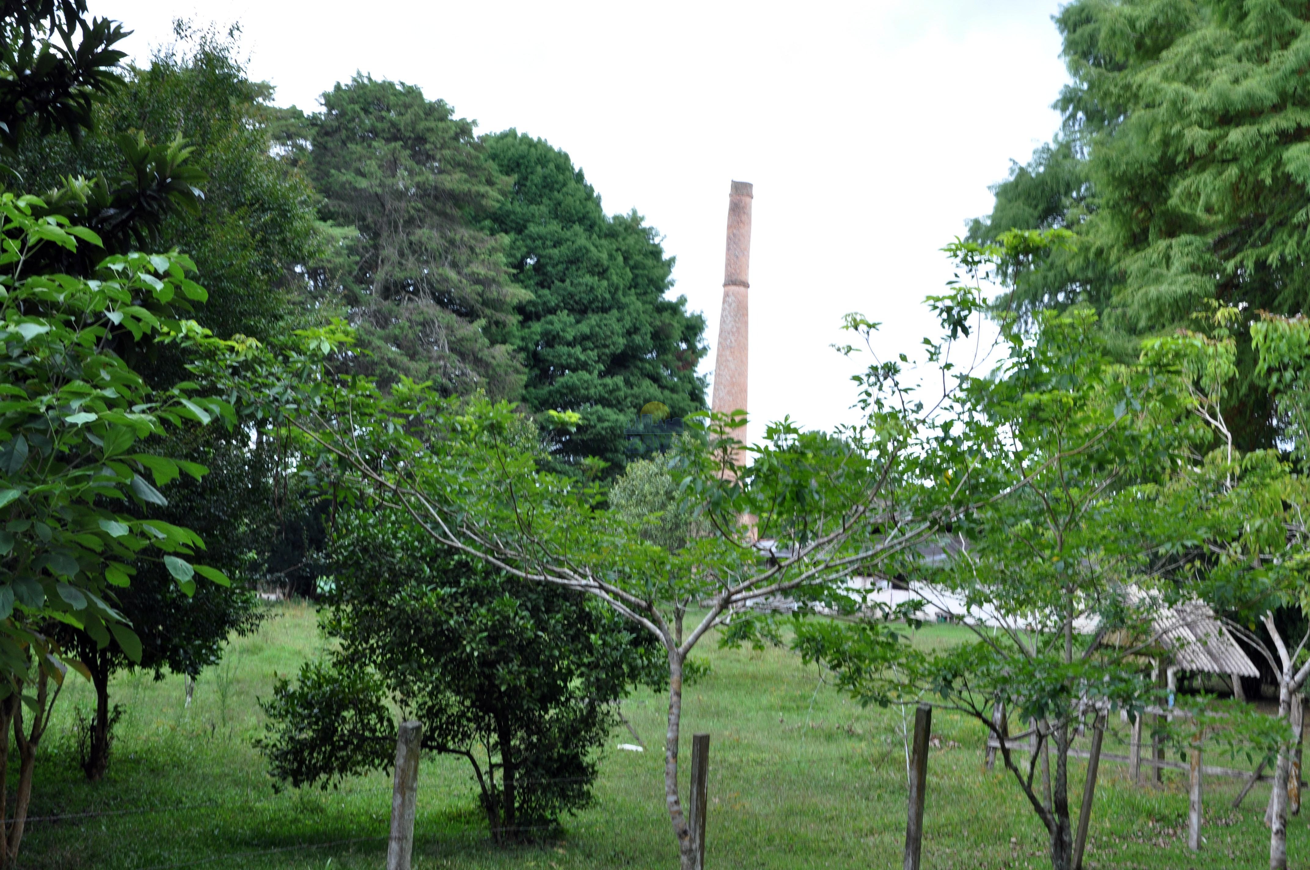 Haras e Área Rural Padrão à venda, 300000m² - Foto 43