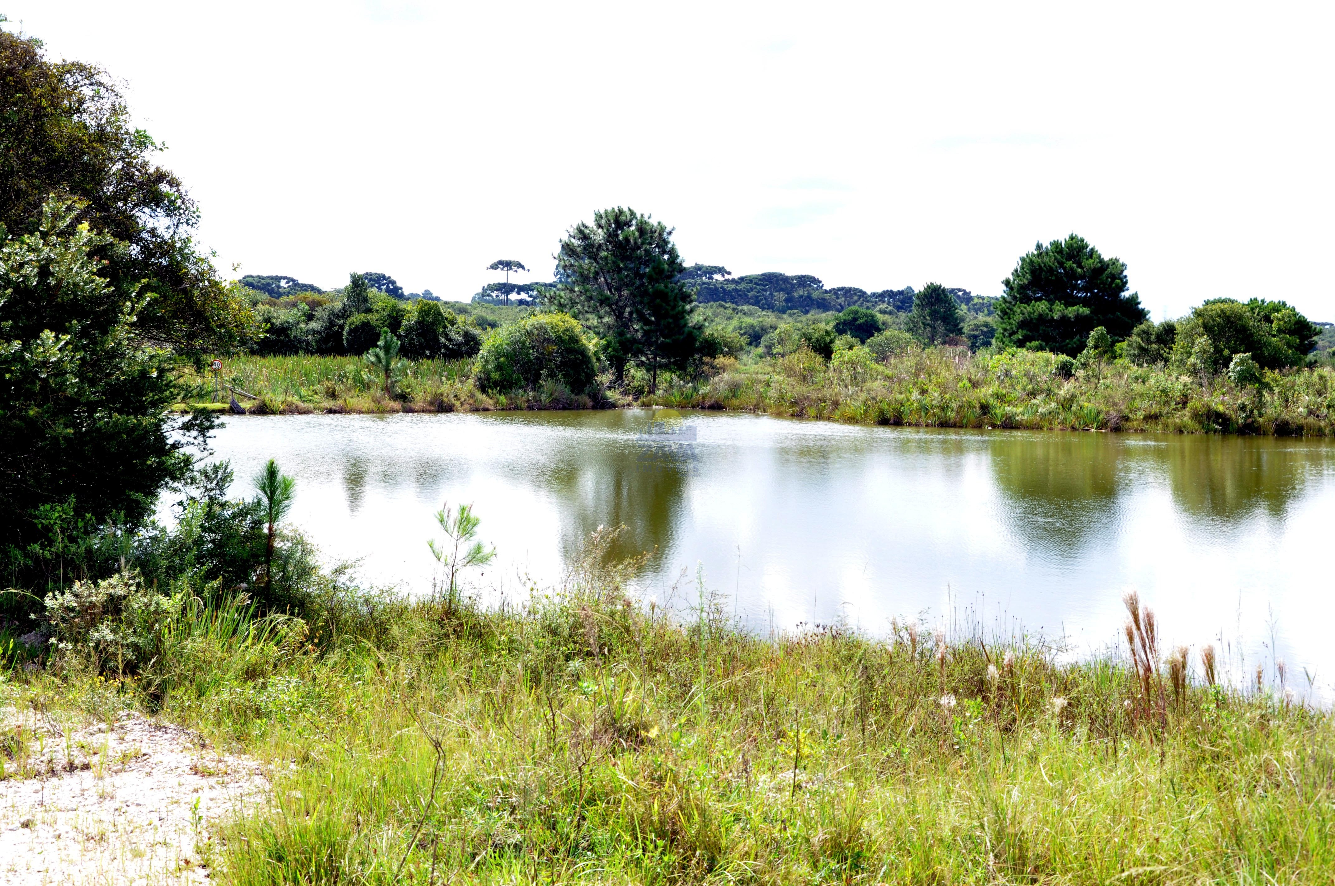 Haras e Área Rural Padrão à venda, 300000m² - Foto 14