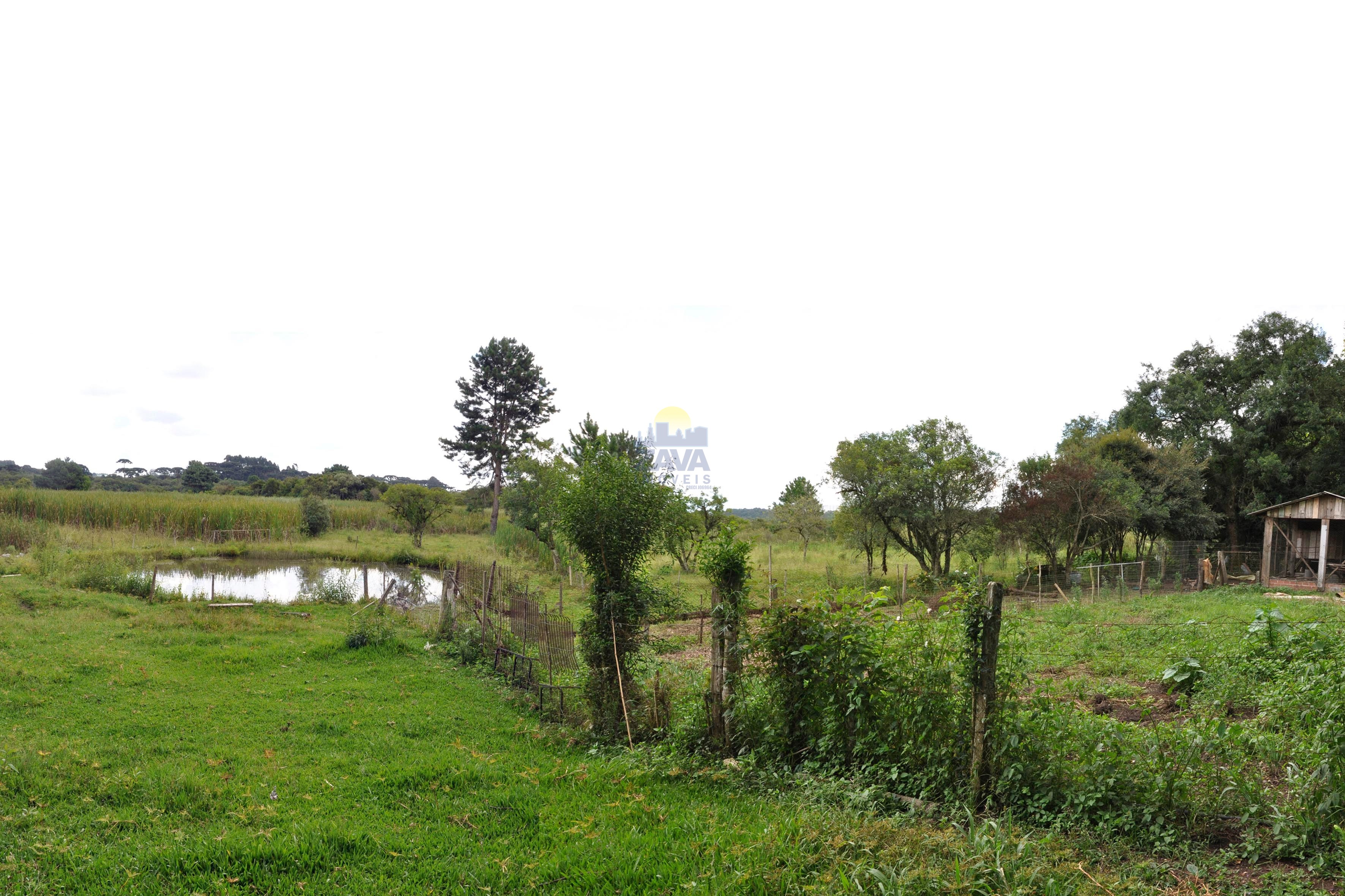 Haras e Área Rural Padrão à venda, 300000m² - Foto 1