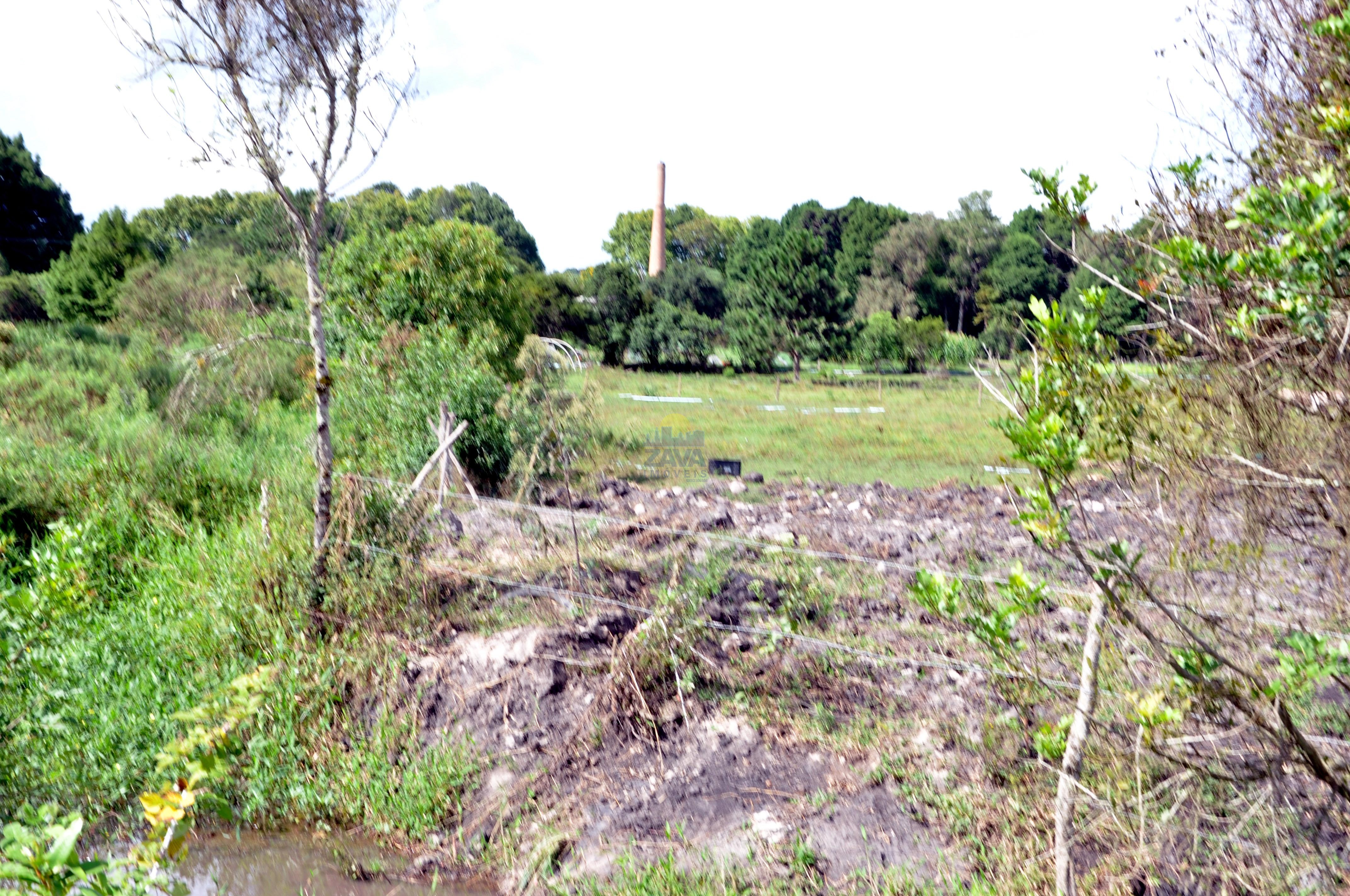 Haras e Área Rural Padrão à venda, 300000m² - Foto 17