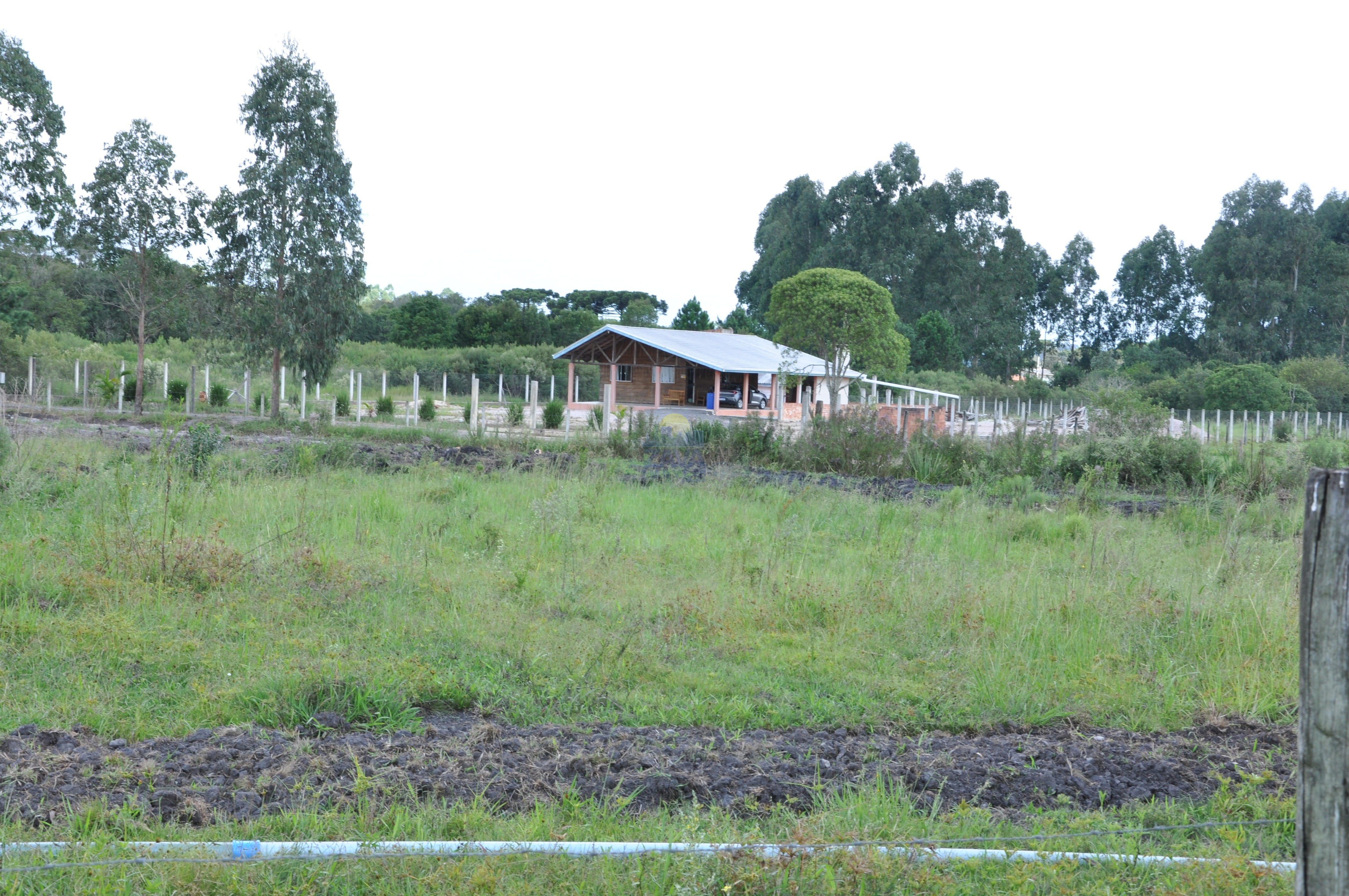 Haras e Área Rural Padrão à venda, 300000m² - Foto 25