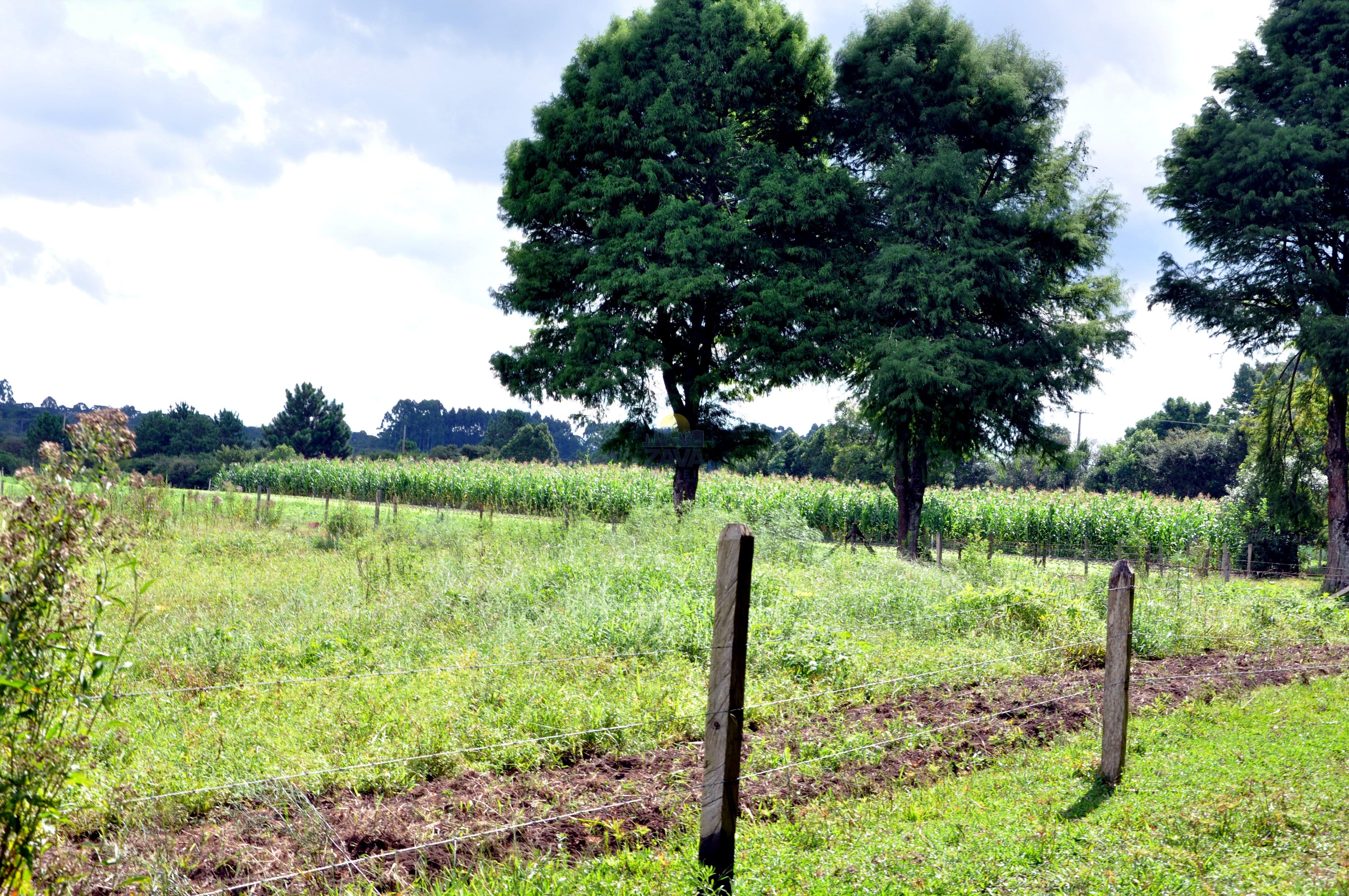 Haras e Área Rural Padrão à venda, 300000m² - Foto 28