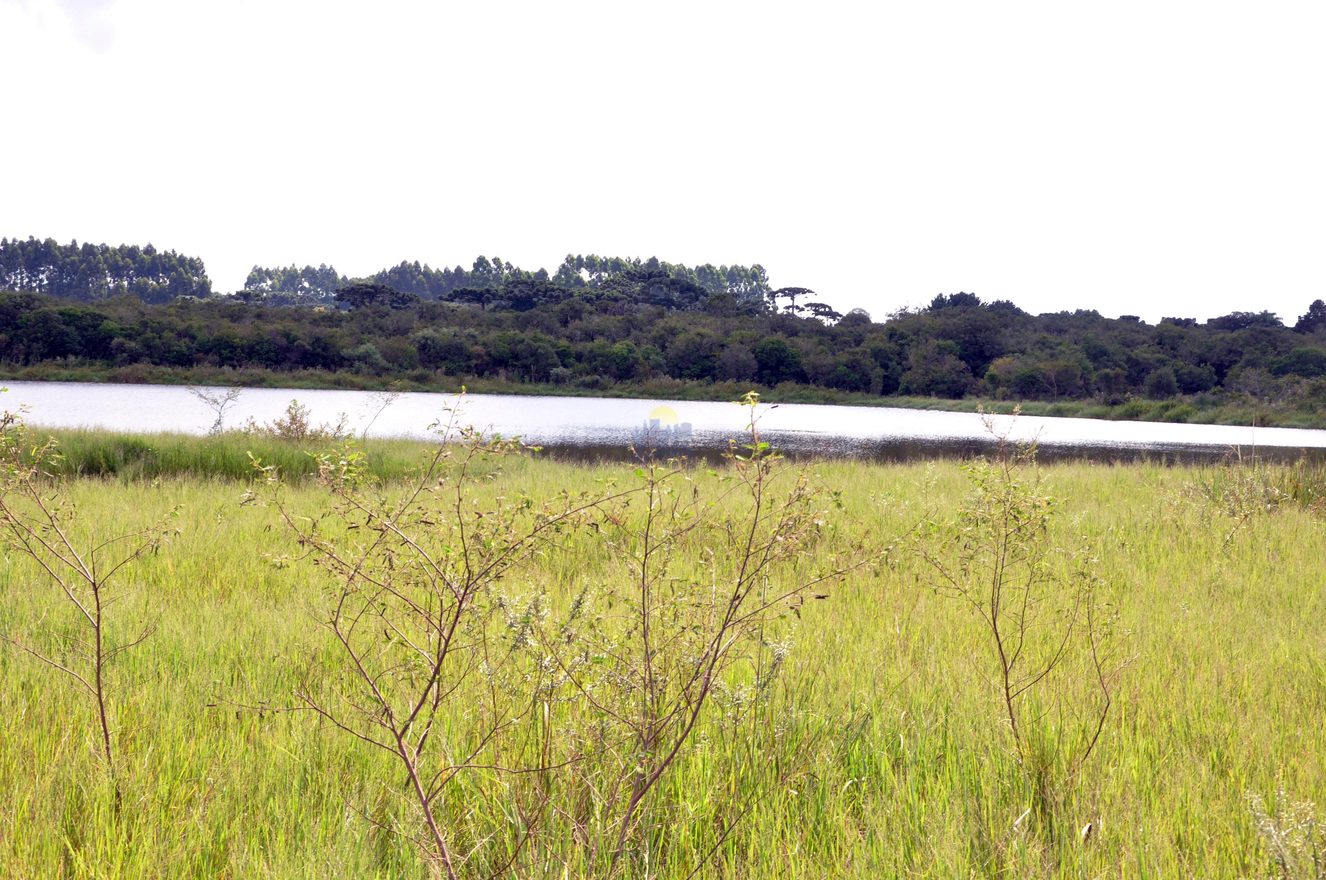 Haras e Área Rural Padrão à venda, 300000m² - Foto 10