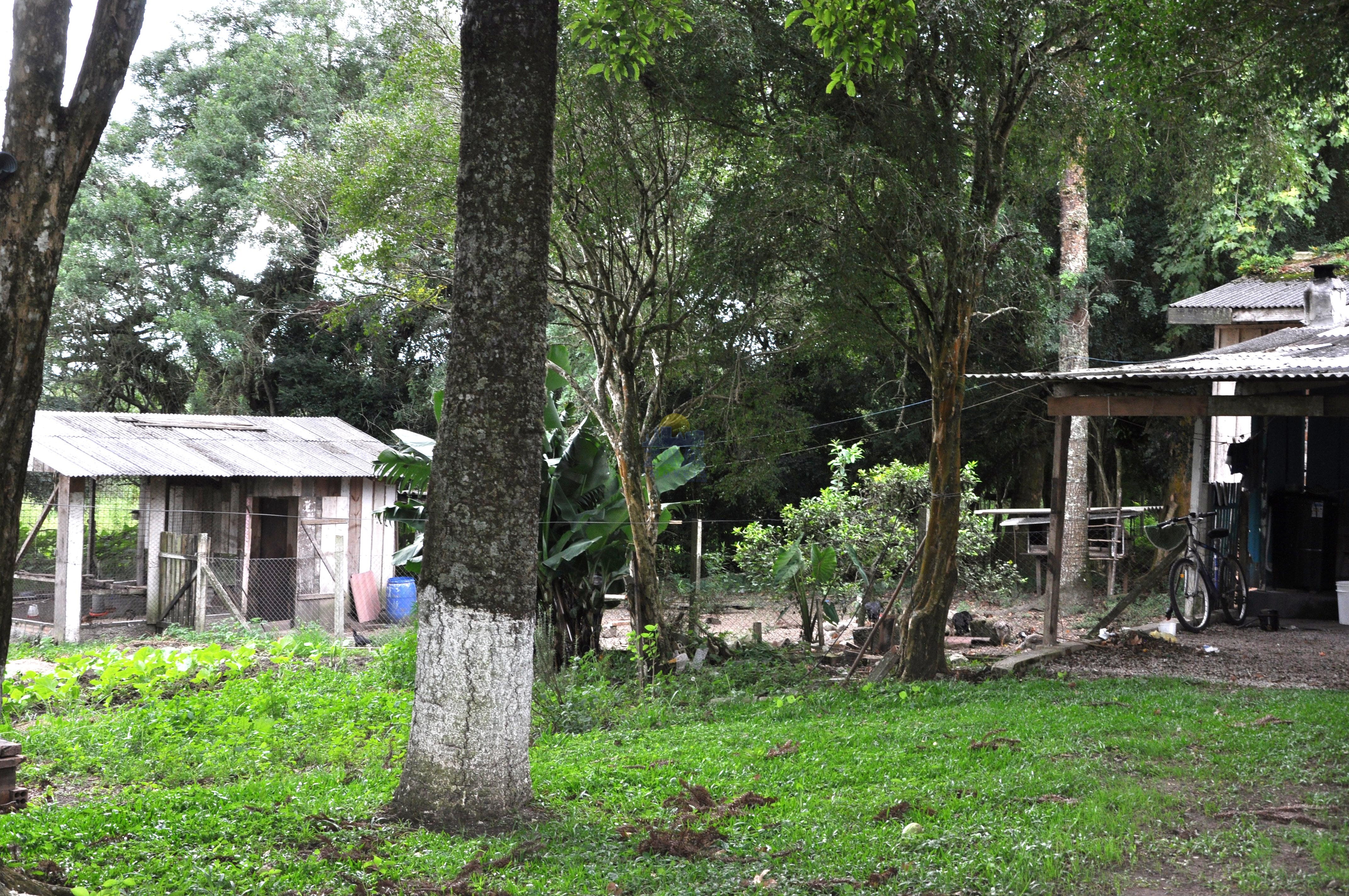 Haras e Área Rural Padrão à venda, 300000m² - Foto 51