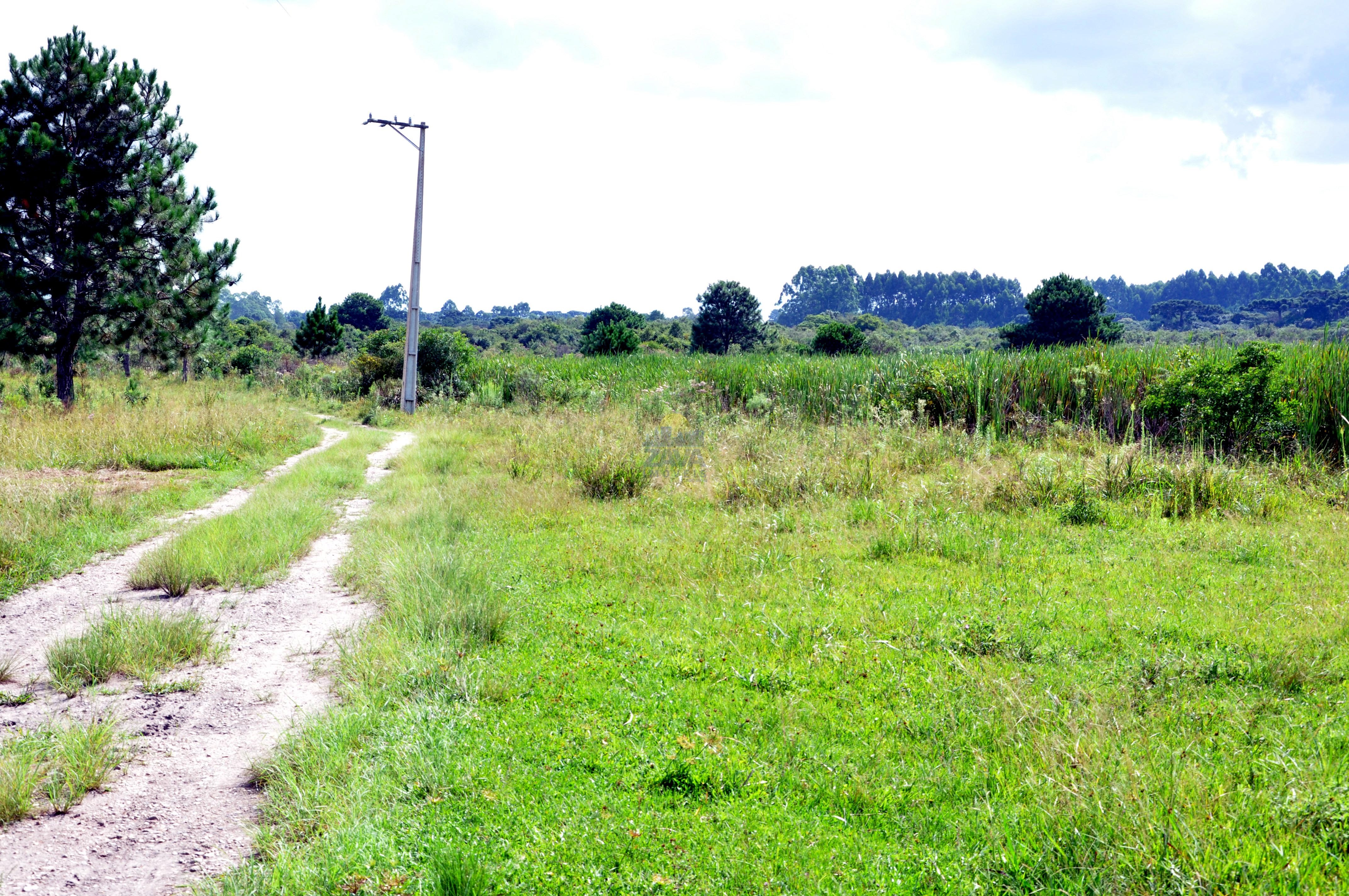 Haras e Área Rural Padrão à venda, 300000m² - Foto 18