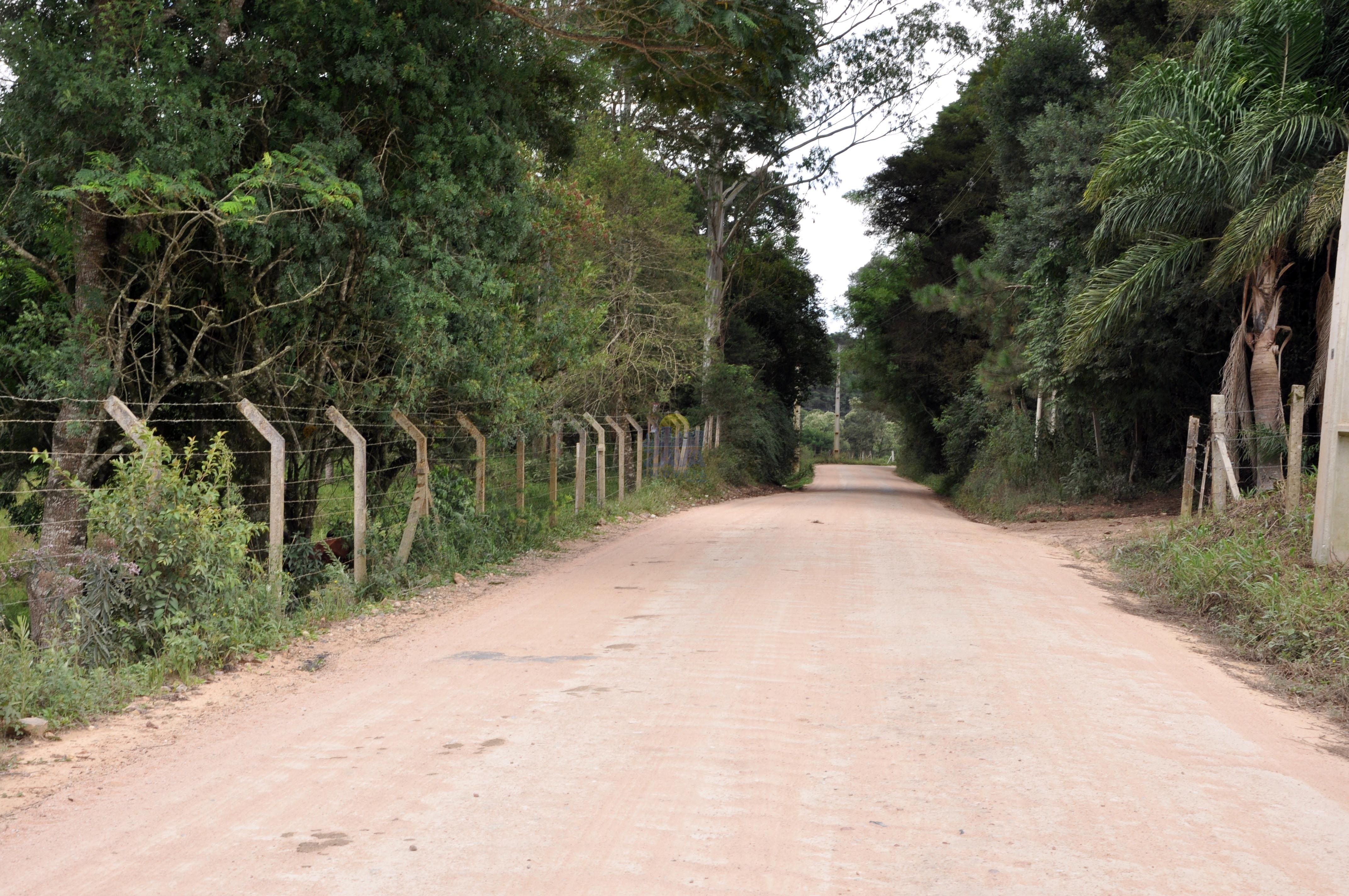 Haras e Área Rural Padrão à venda, 300000m² - Foto 33