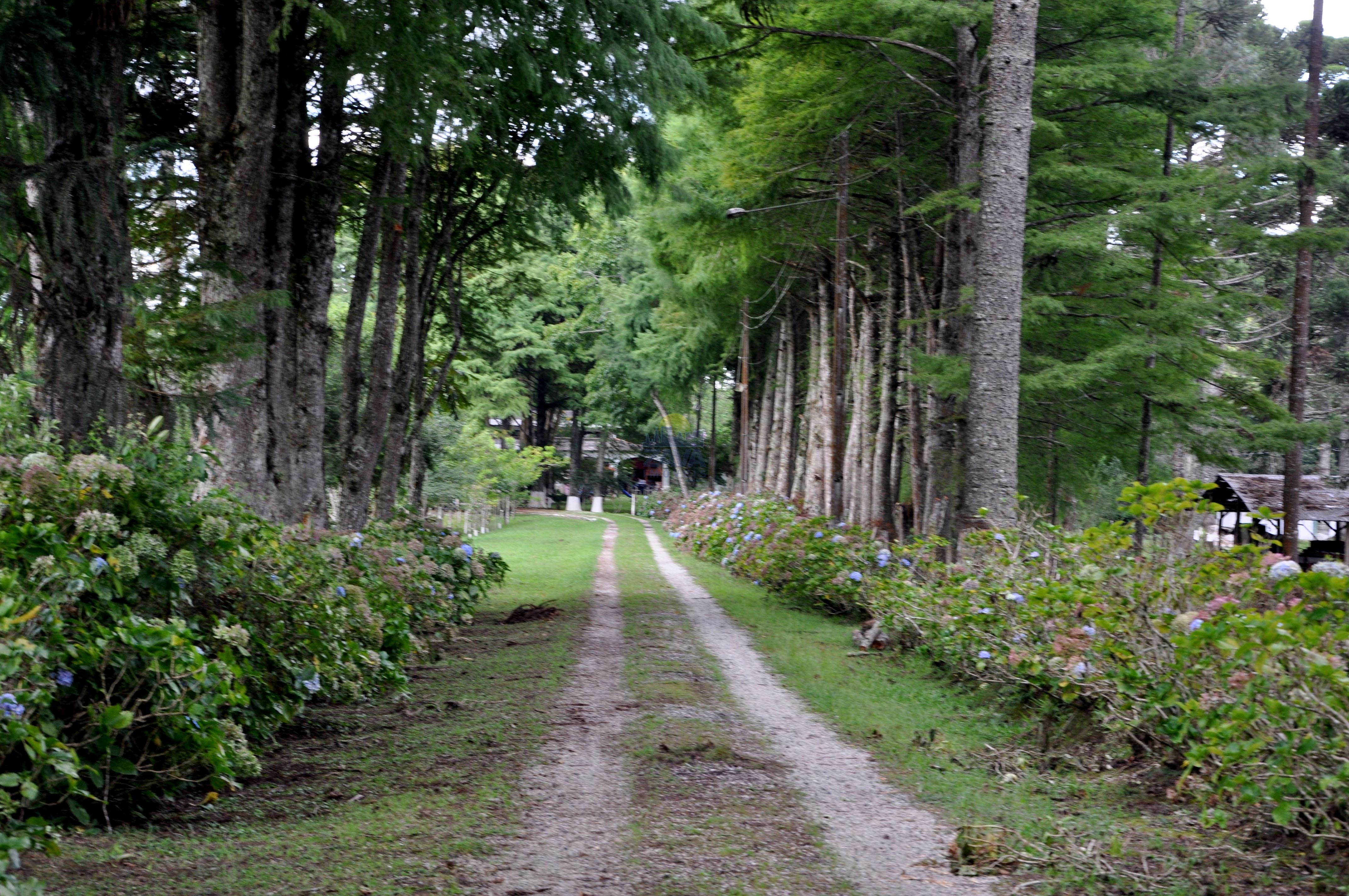 Haras e Área Rural Padrão à venda, 300000m² - Foto 42