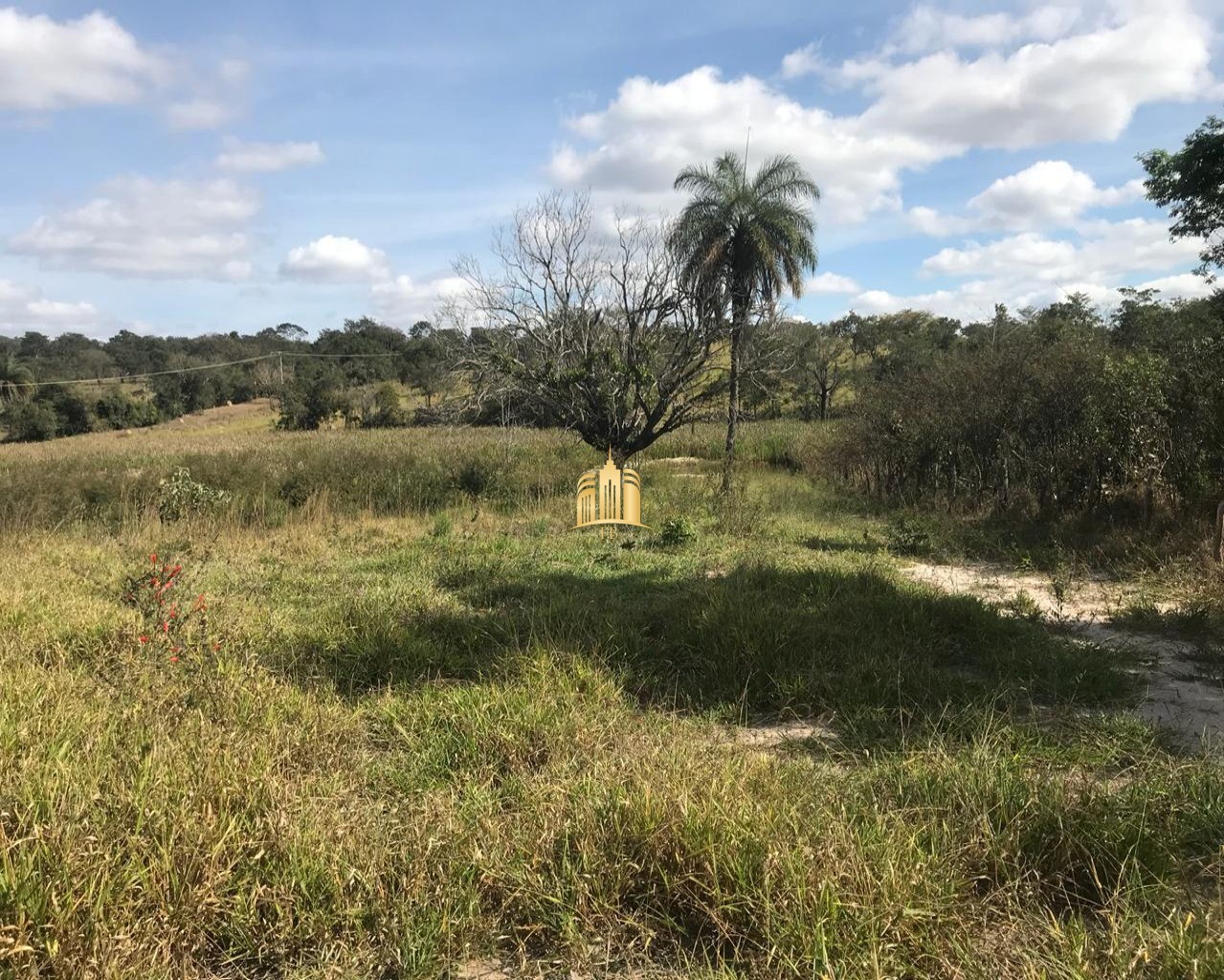 Terreno à venda, 17000m² - Foto 5