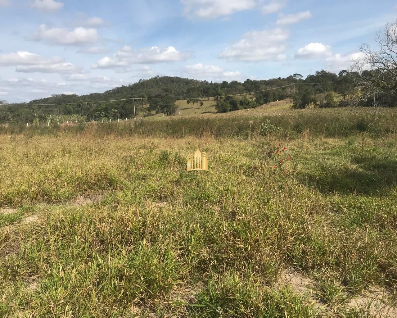 Terreno à venda, 17000m² - Foto 7