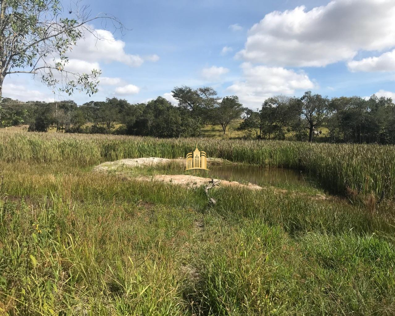 Terreno à venda, 17000m² - Foto 11