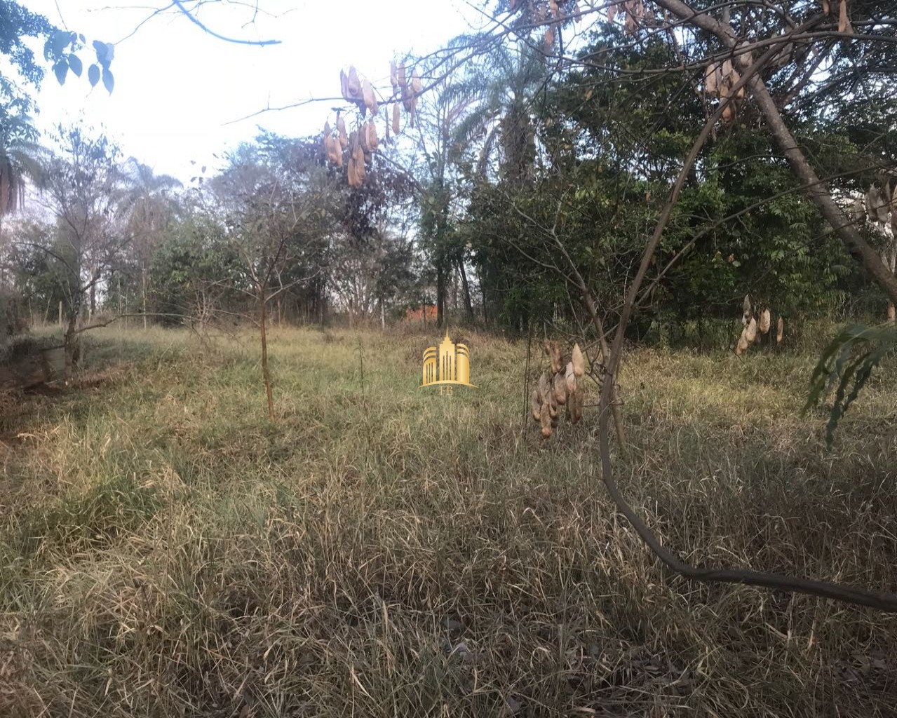 Terreno à venda, 900m² - Foto 6