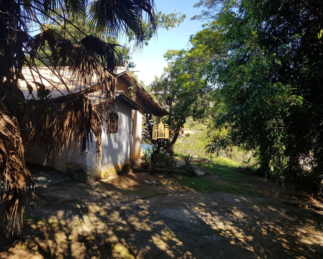 Sítio, 6 quartos, 5300 m² - Foto 6