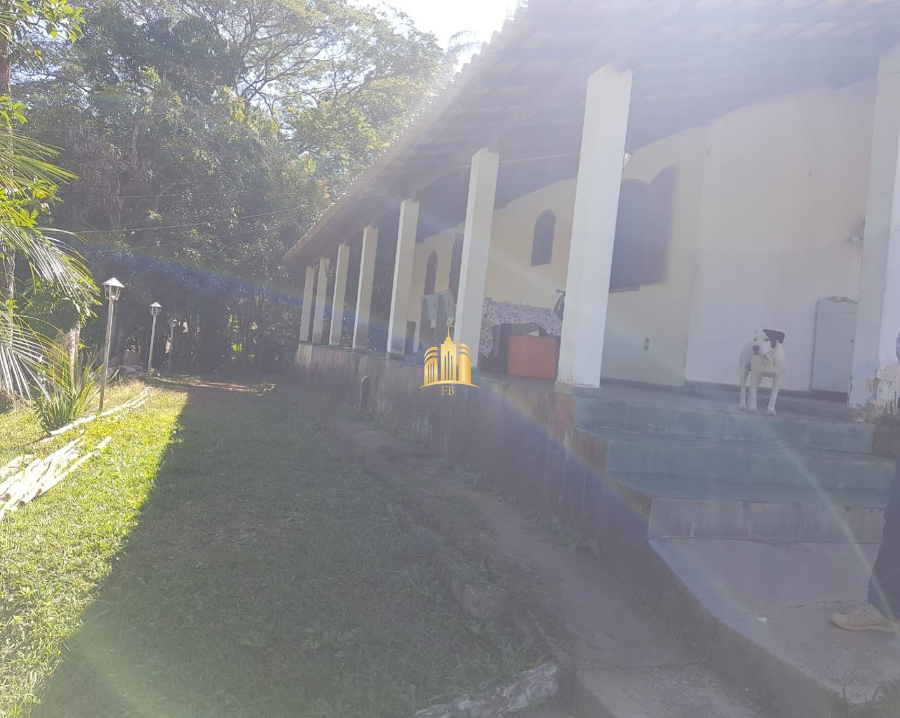 Sítio, 6 quartos, 5300 m² - Foto 20