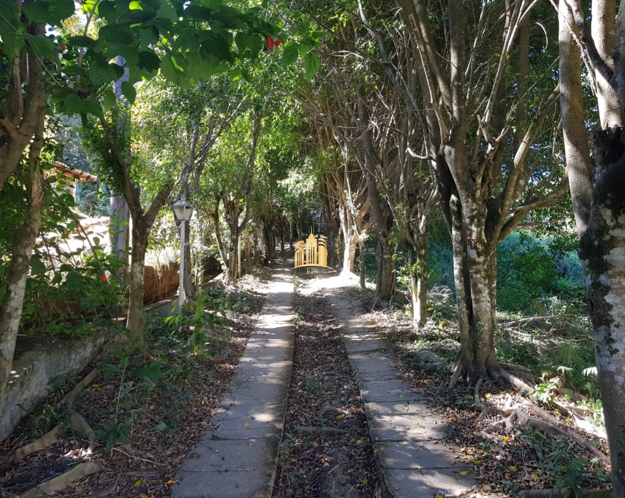 Sítio, 6 quartos, 5300 m² - Foto 30