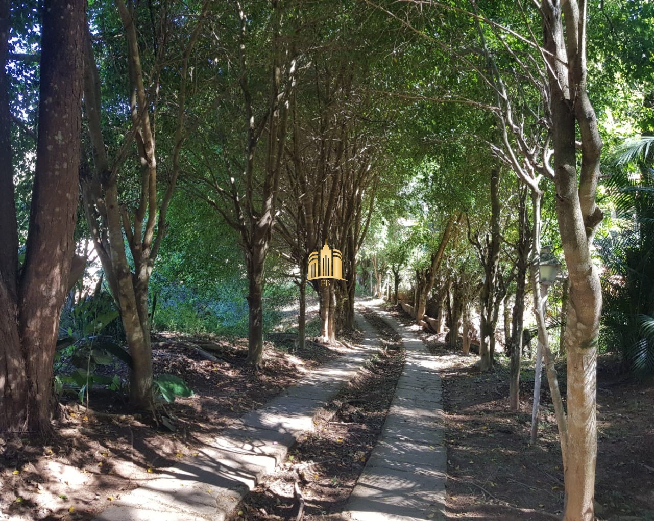 Sítio, 6 quartos, 5300 m² - Foto 31