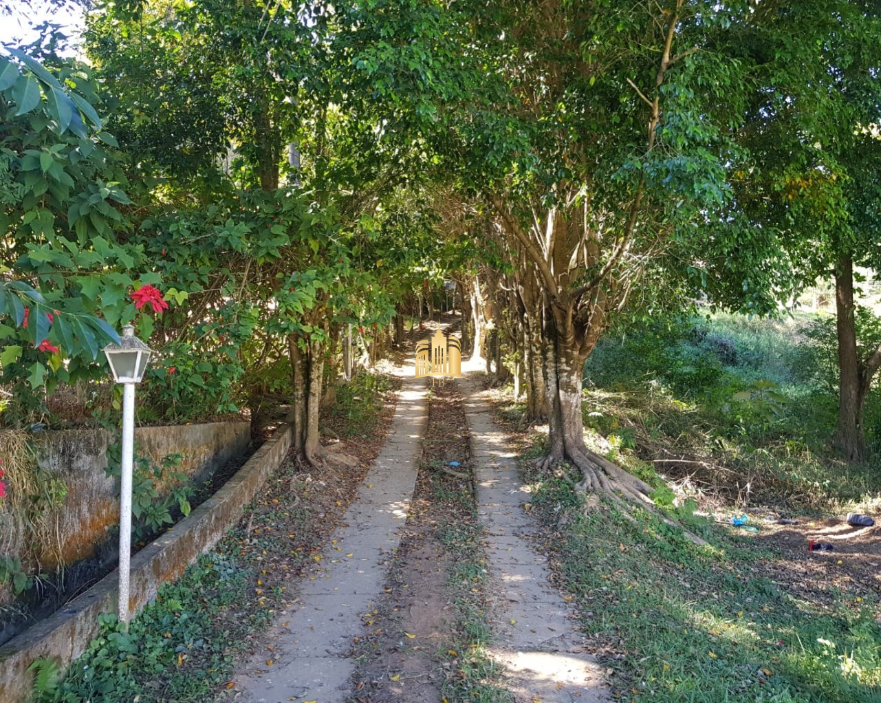 Sítio, 6 quartos, 5300 m² - Foto 32