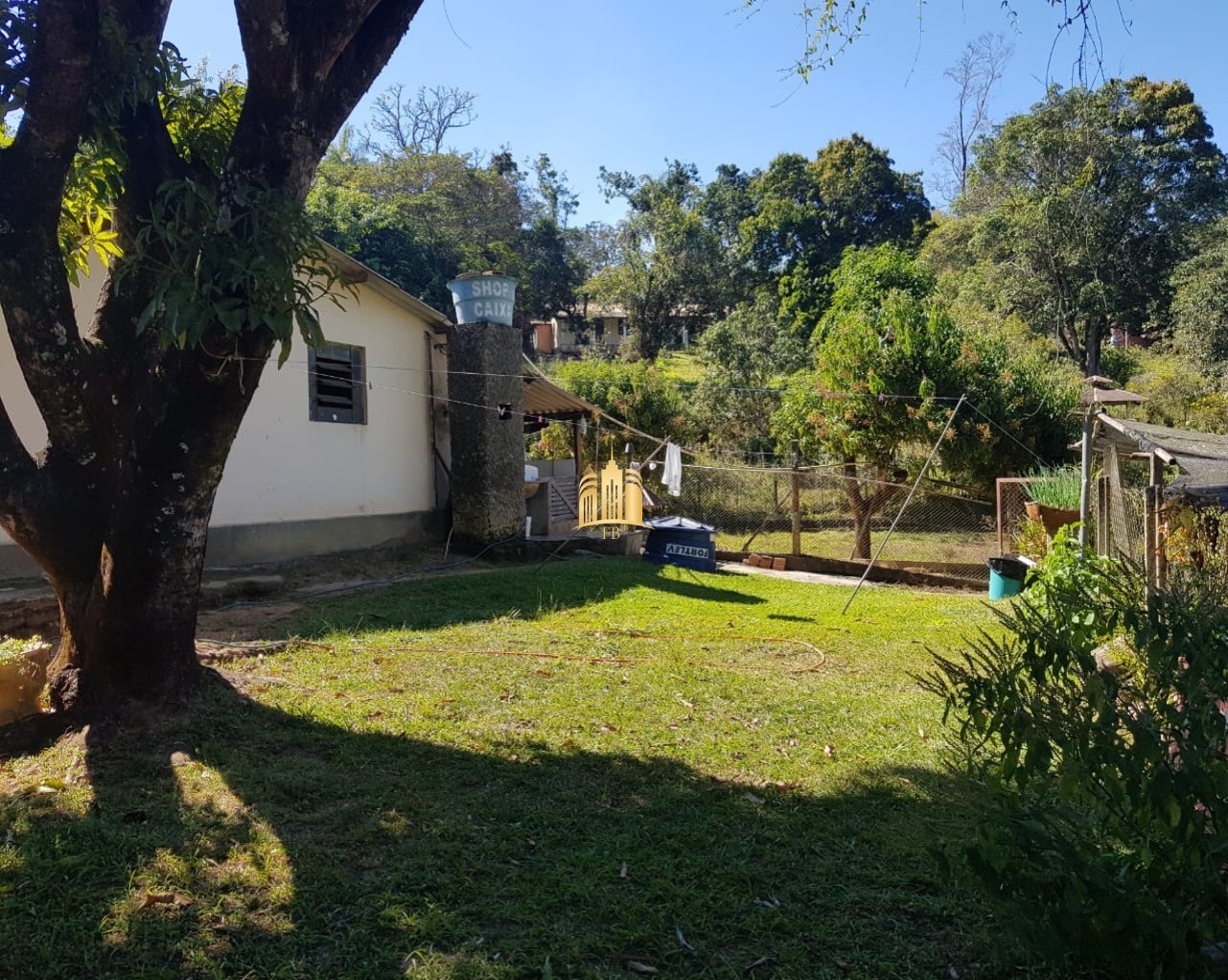 Sítio, 6 quartos, 5300 m² - Foto 41