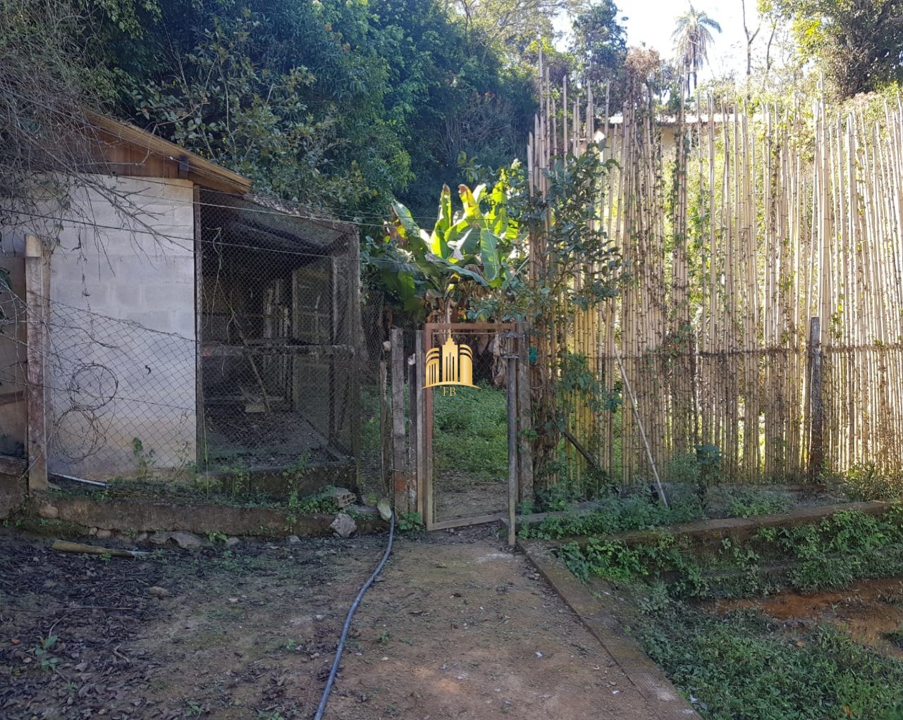 Sítio, 6 quartos, 5300 m² - Foto 42