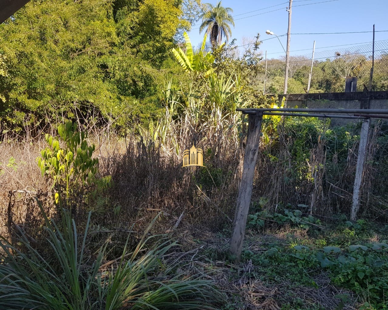 Sítio, 6 quartos, 5300 m² - Foto 44