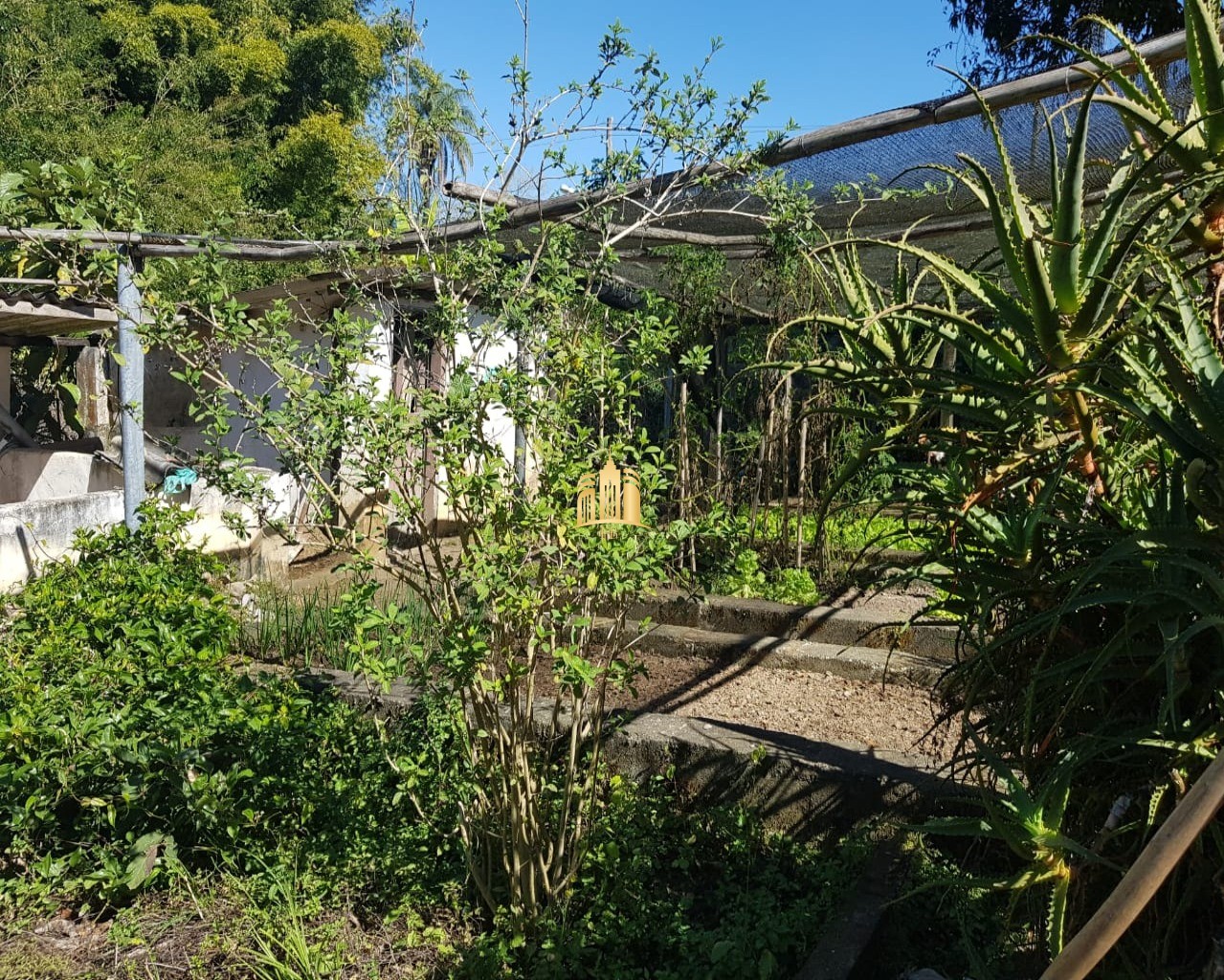 Sítio, 6 quartos, 5300 m² - Foto 45