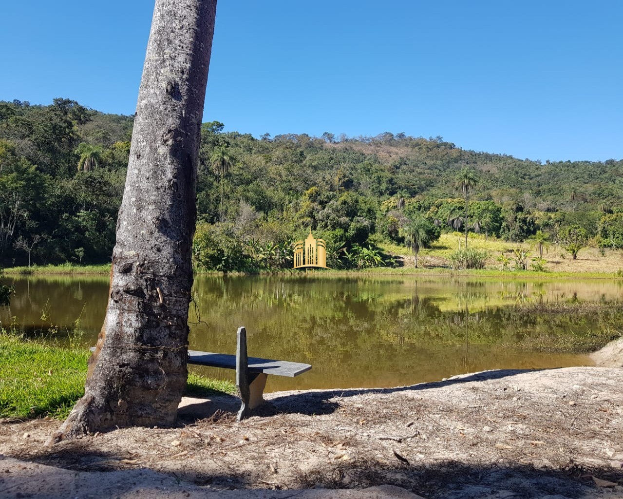 Fazenda à venda com 4 quartos, 150000m² - Foto 1