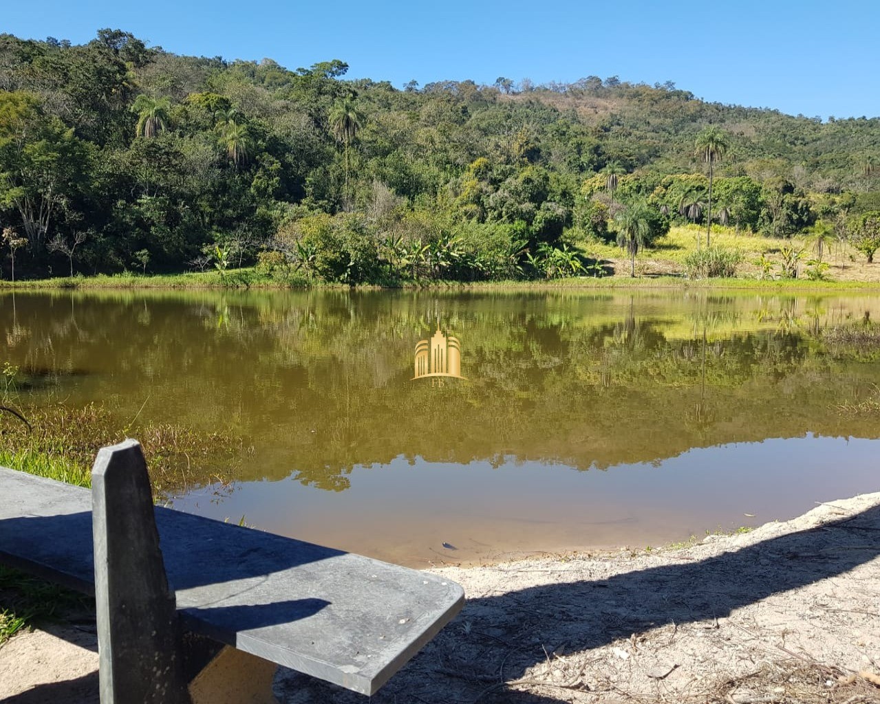 Fazenda à venda com 4 quartos, 150000m² - Foto 2