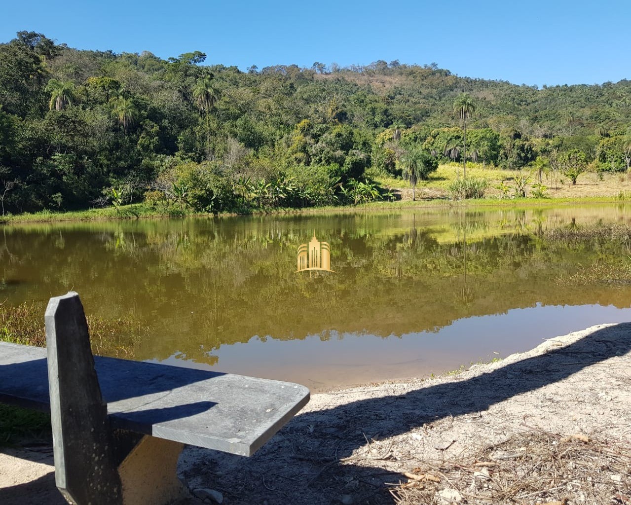 Fazenda à venda com 4 quartos, 150000m² - Foto 3