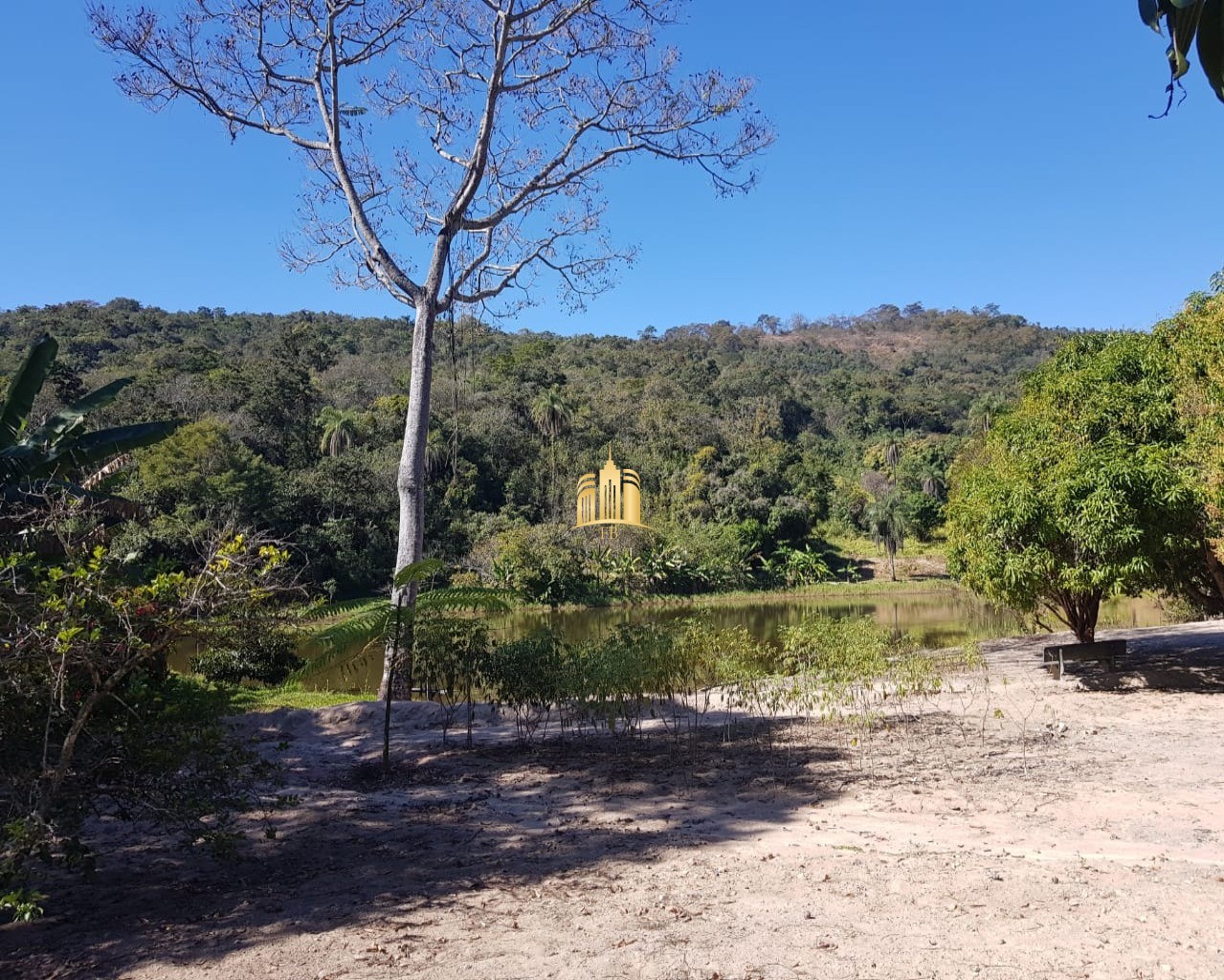 Fazenda à venda com 4 quartos, 150000m² - Foto 4