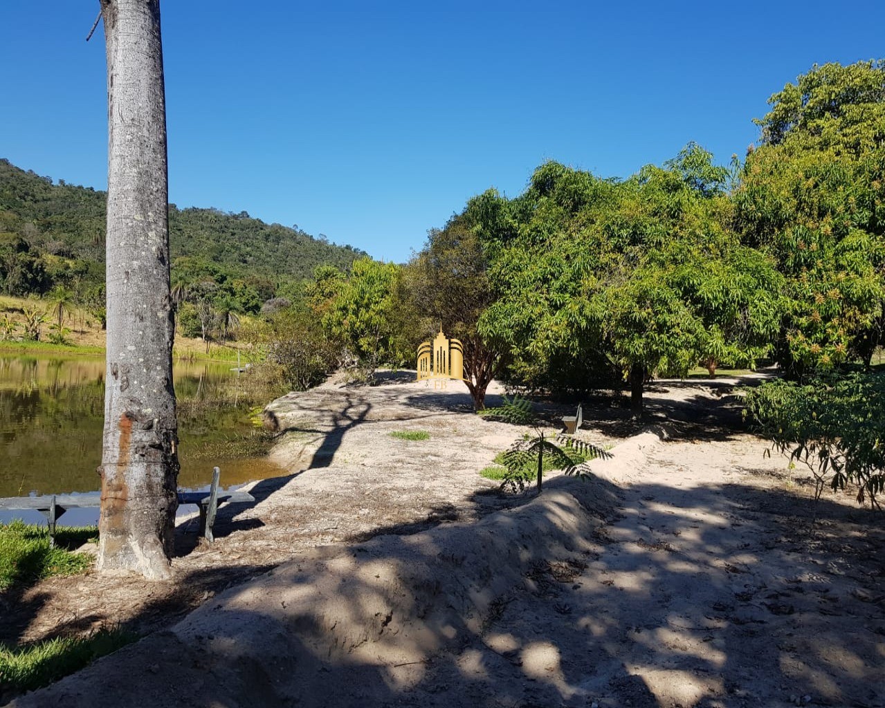 Fazenda à venda com 4 quartos, 150000m² - Foto 5