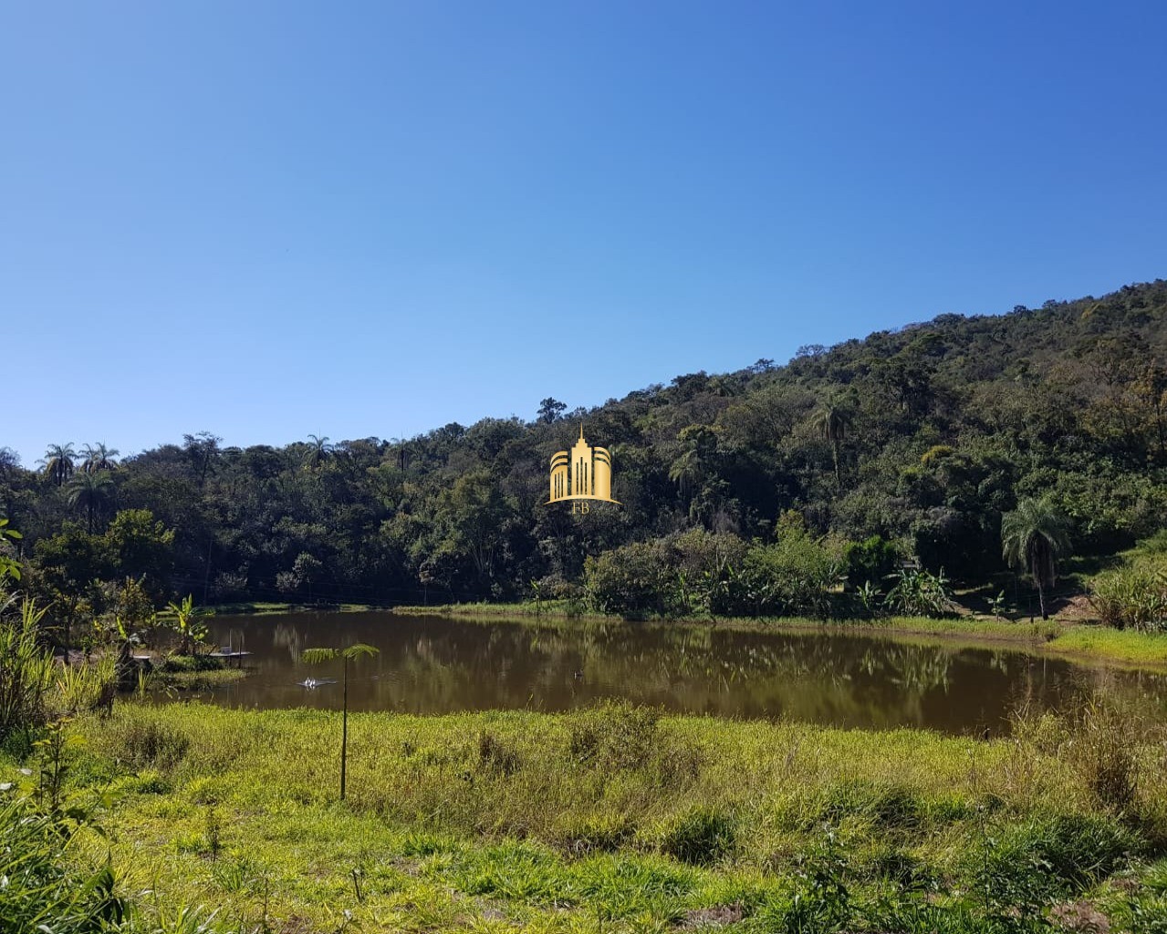 Fazenda à venda com 4 quartos, 150000m² - Foto 6