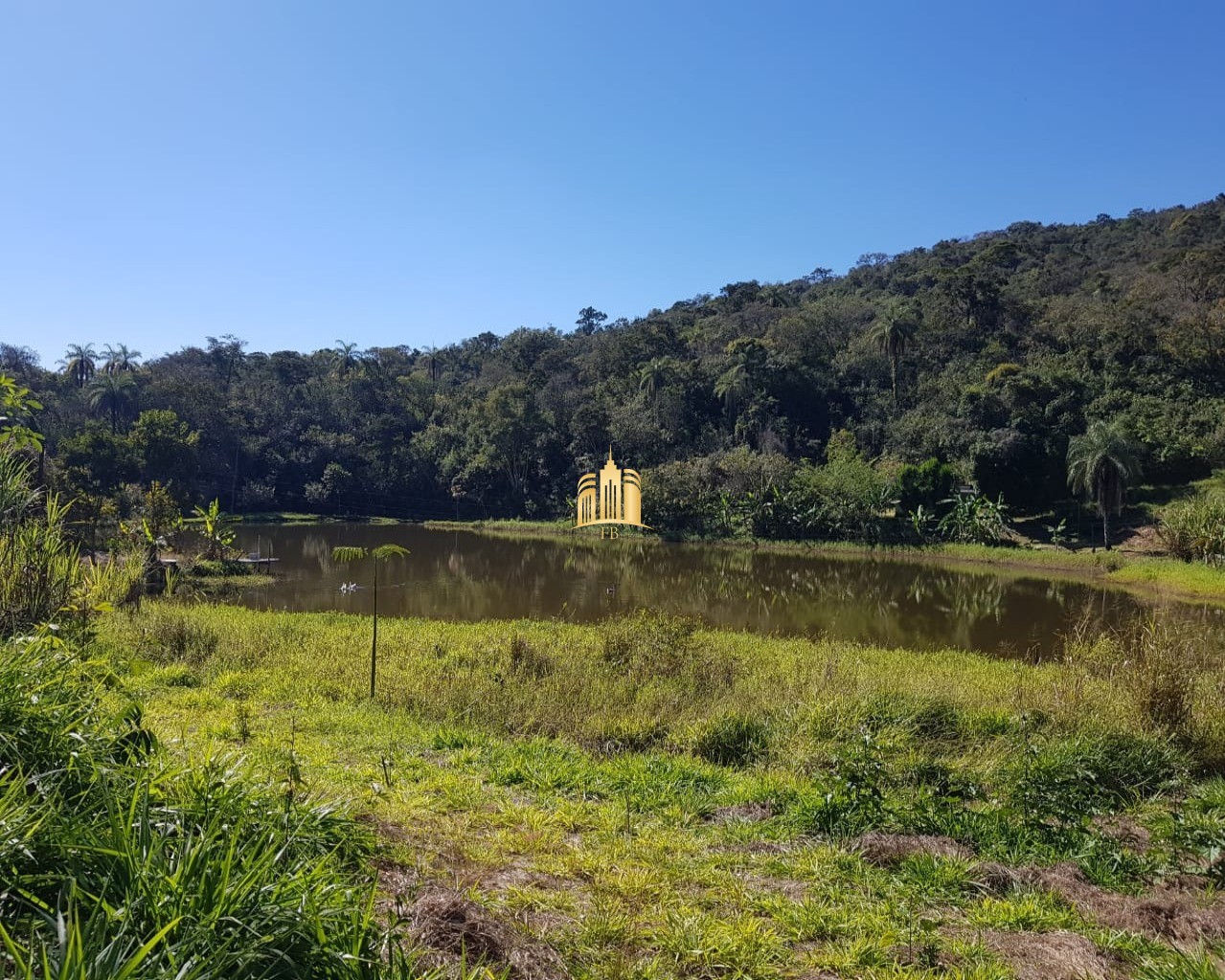 Fazenda à venda com 4 quartos, 150000m² - Foto 7