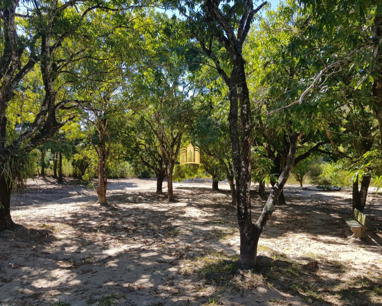 Fazenda à venda com 4 quartos, 150000m² - Foto 8