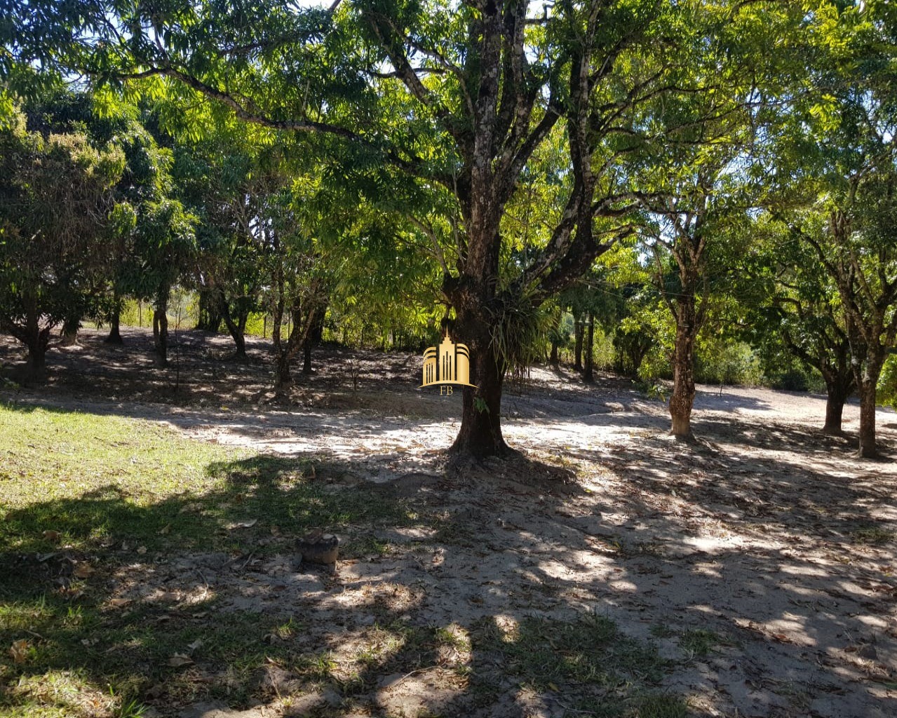 Fazenda à venda com 4 quartos, 150000m² - Foto 9