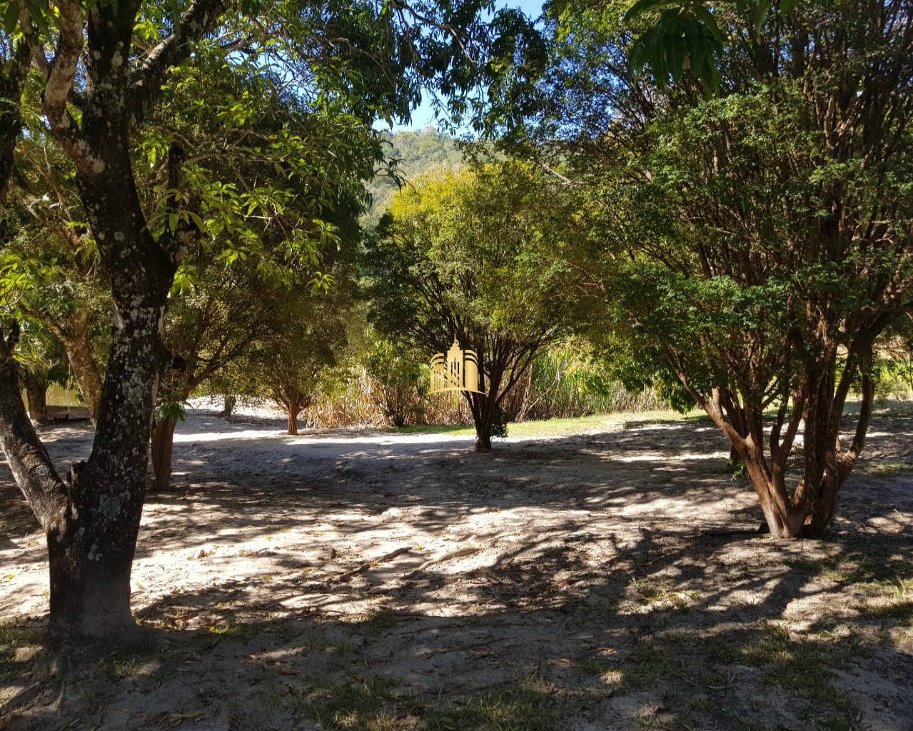 Fazenda à venda com 4 quartos, 150000m² - Foto 10