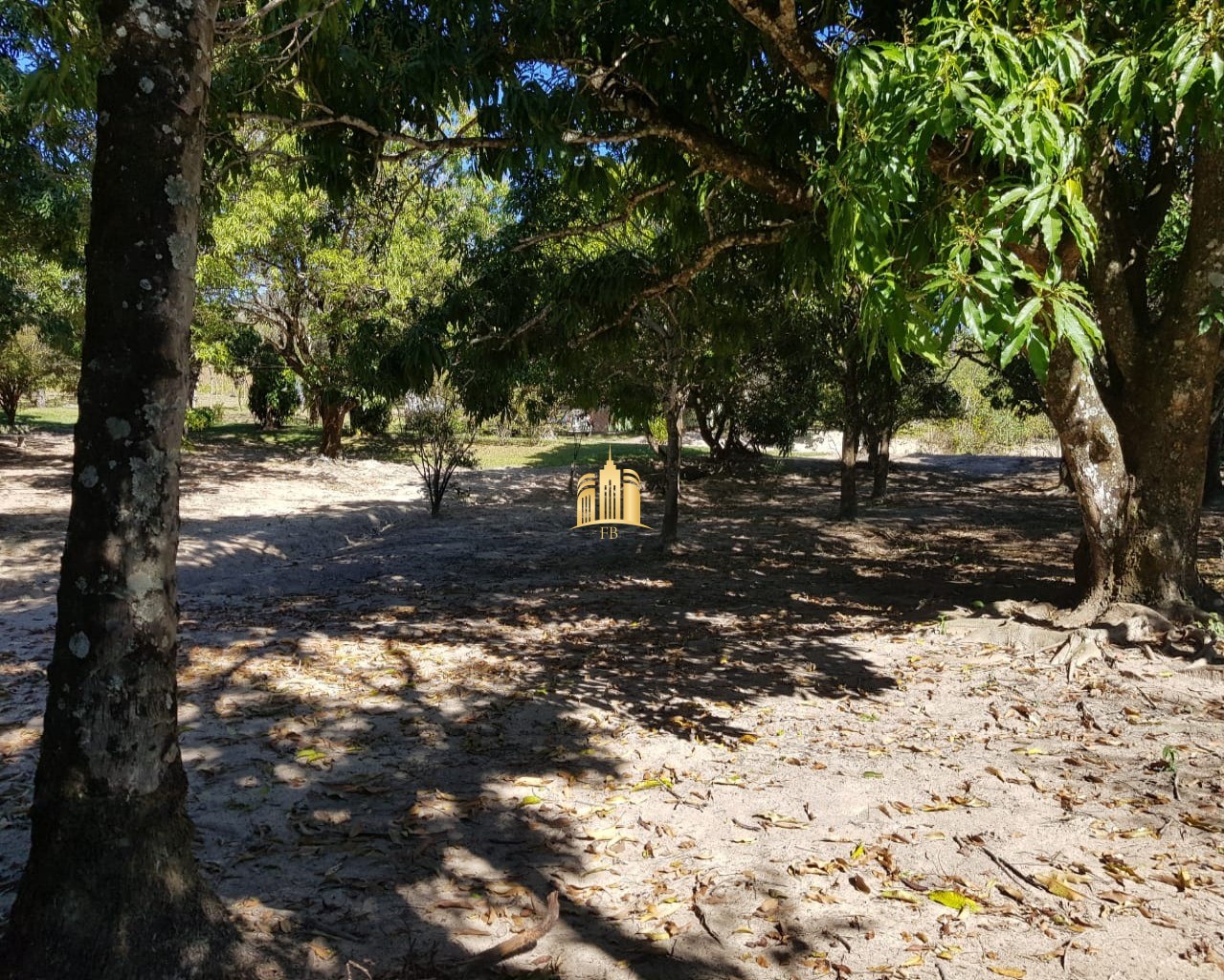 Fazenda à venda com 4 quartos, 150000m² - Foto 11