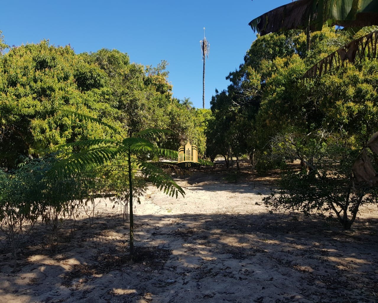 Fazenda à venda com 4 quartos, 150000m² - Foto 12