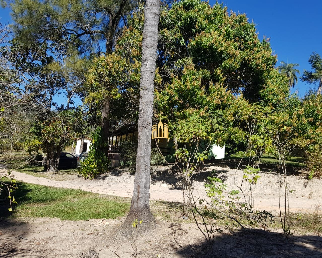 Fazenda à venda com 4 quartos, 150000m² - Foto 13