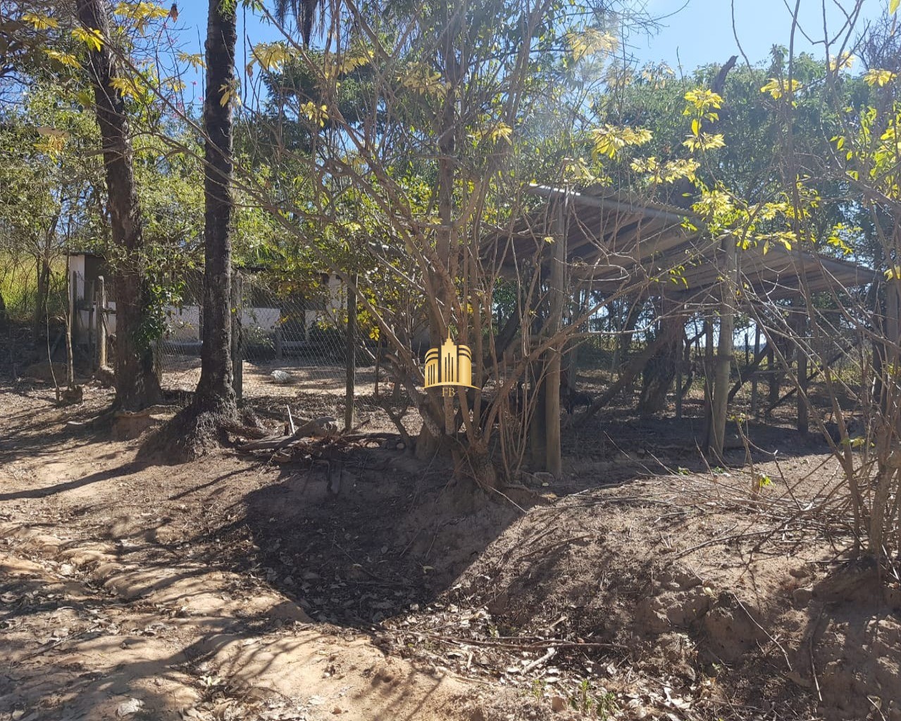 Fazenda à venda com 4 quartos, 150000m² - Foto 17