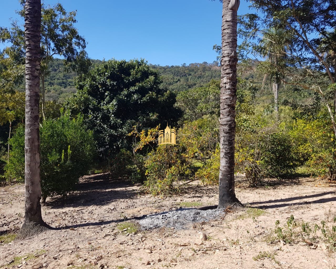 Fazenda à venda com 4 quartos, 150000m² - Foto 19