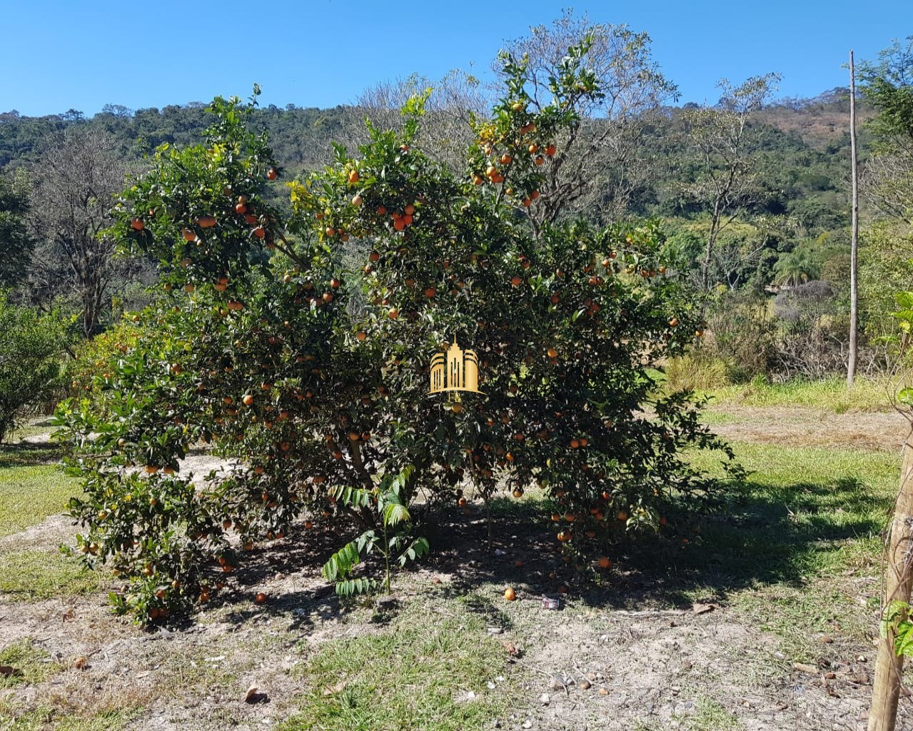 Fazenda à venda com 4 quartos, 150000m² - Foto 23