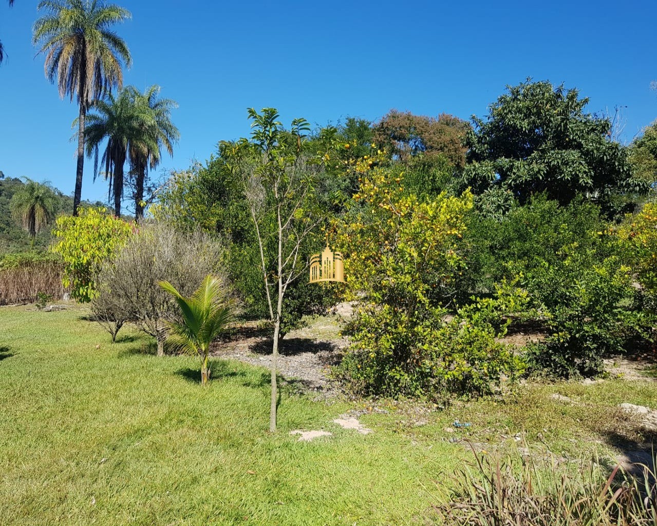 Fazenda à venda com 4 quartos, 150000m² - Foto 24