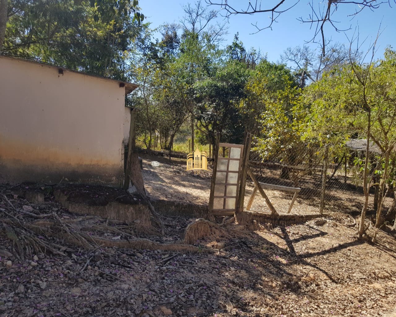 Fazenda à venda com 4 quartos, 150000m² - Foto 78