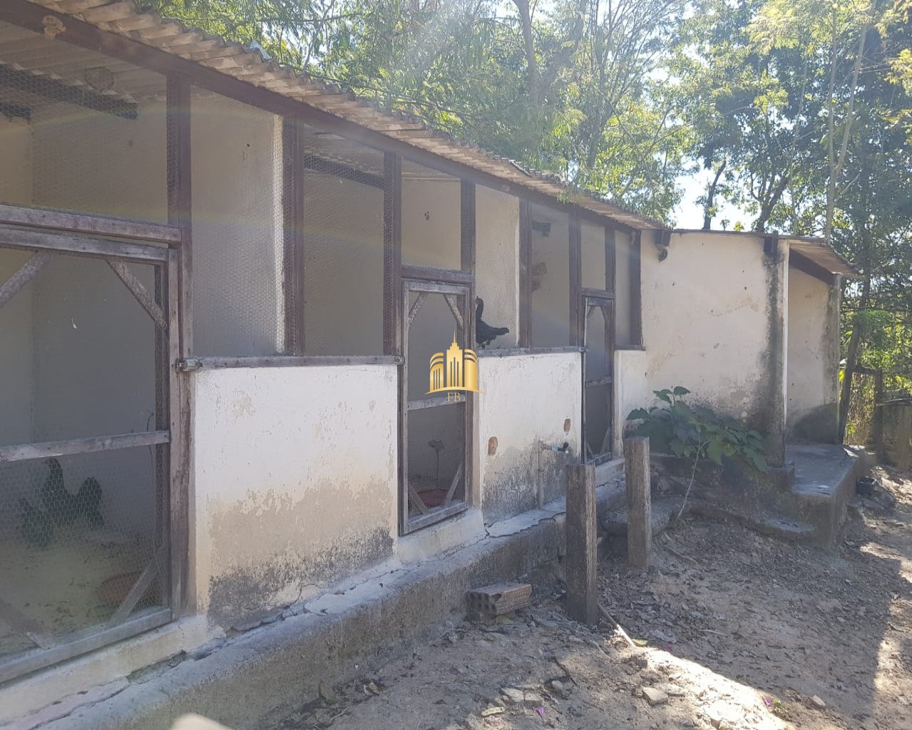 Fazenda à venda com 4 quartos, 150000m² - Foto 79