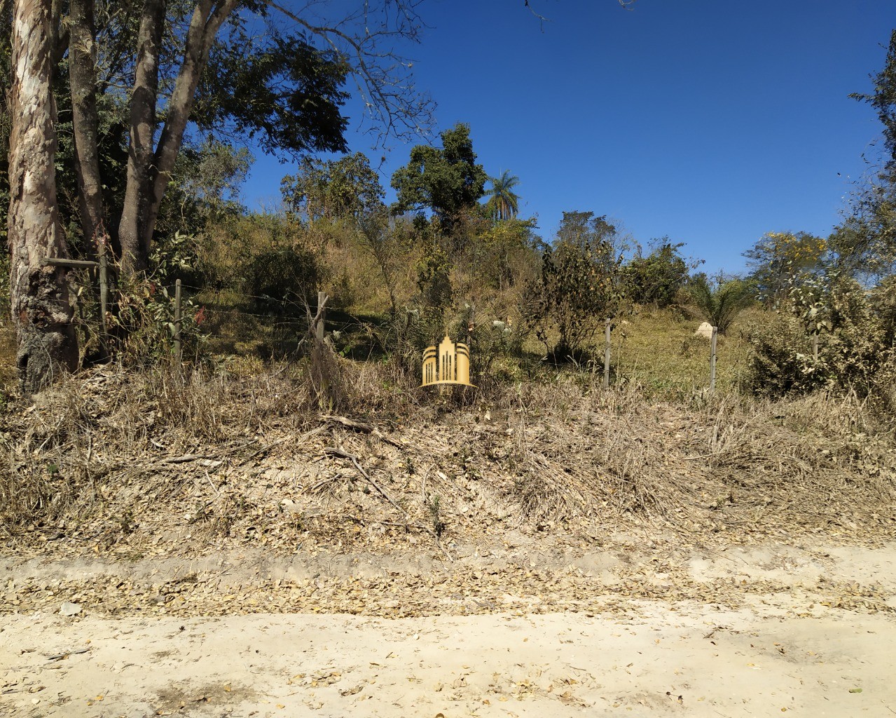 Terreno à venda, 50000m² - Foto 2