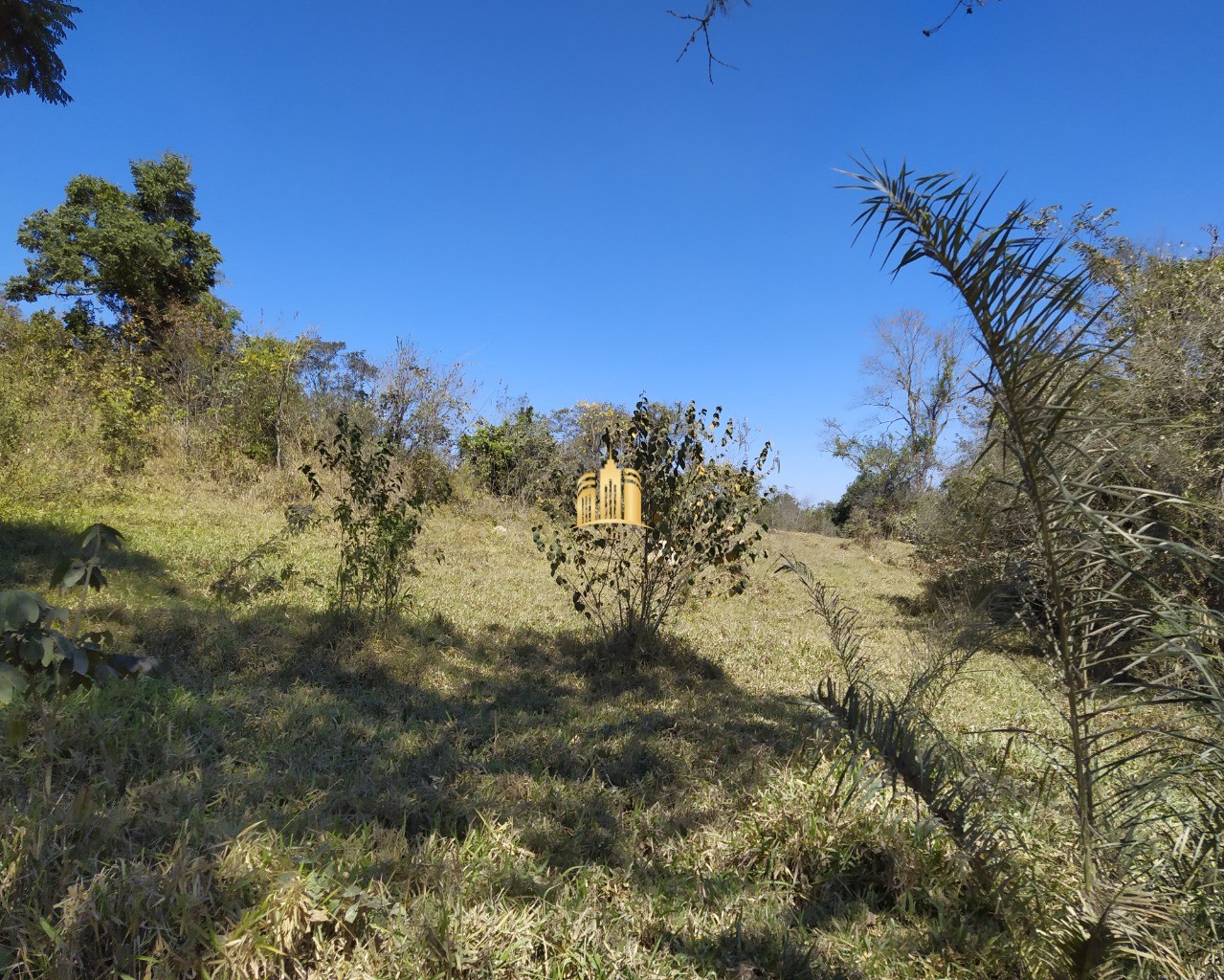 Terreno à venda, 50000m² - Foto 3